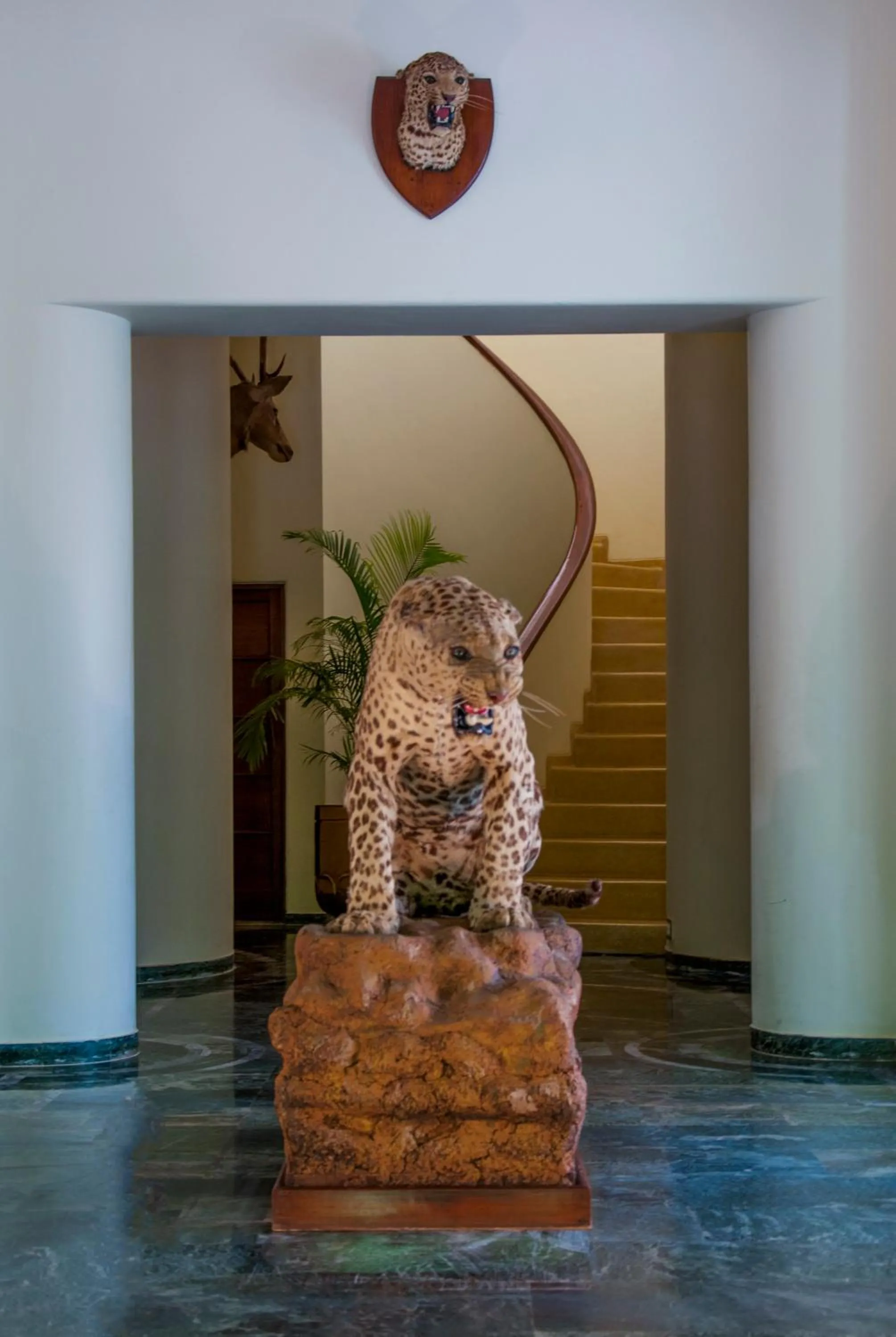 Lobby or reception in The Maharaja's Lodge, Ranthambore