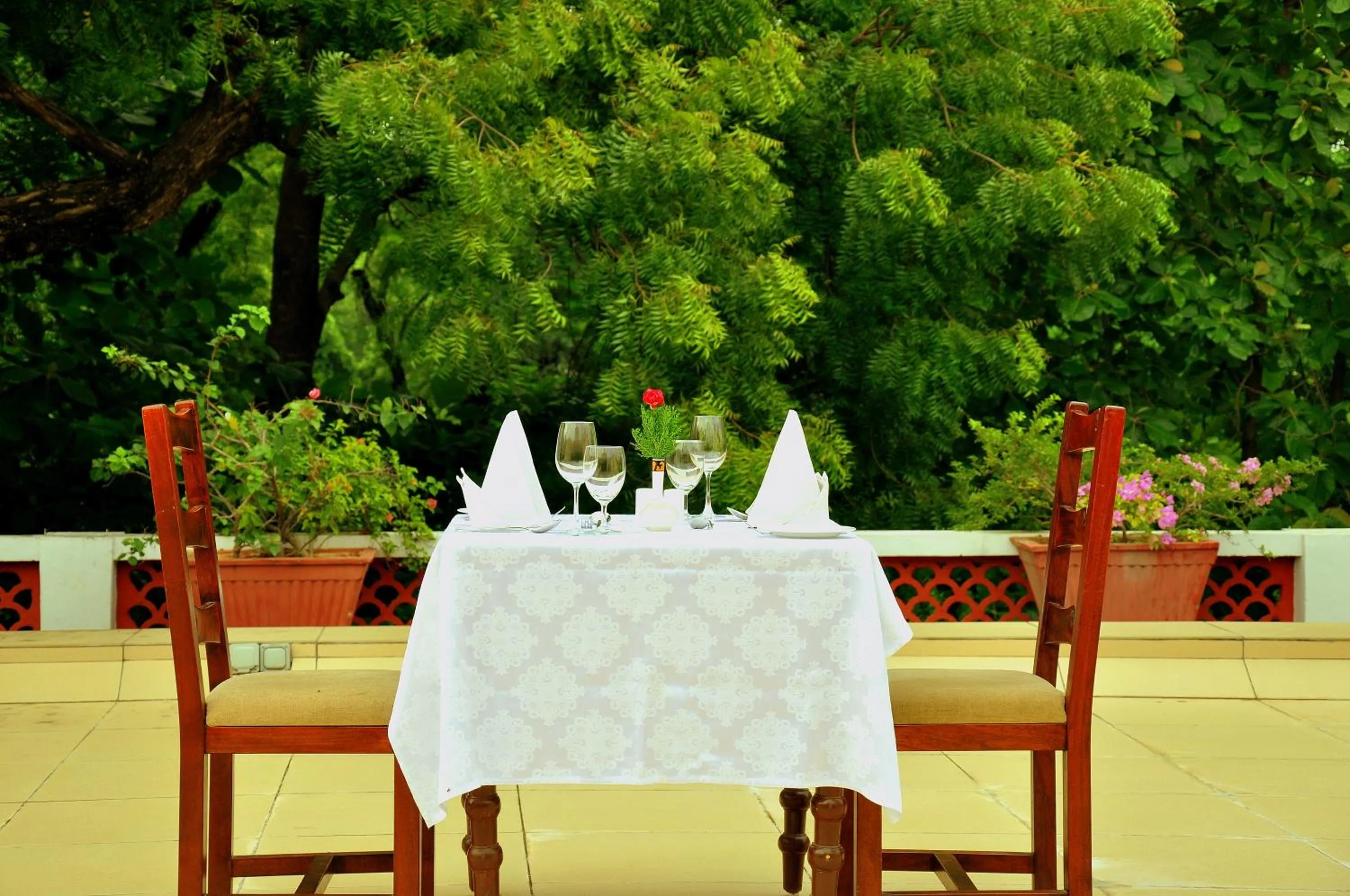 Food in The Maharaja's Lodge, Ranthambore