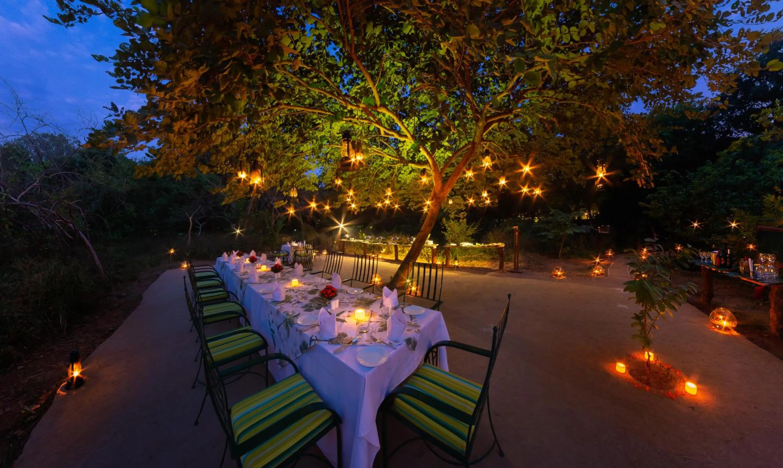 Banquet/Function facilities in The Maharaja's Lodge, Ranthambore