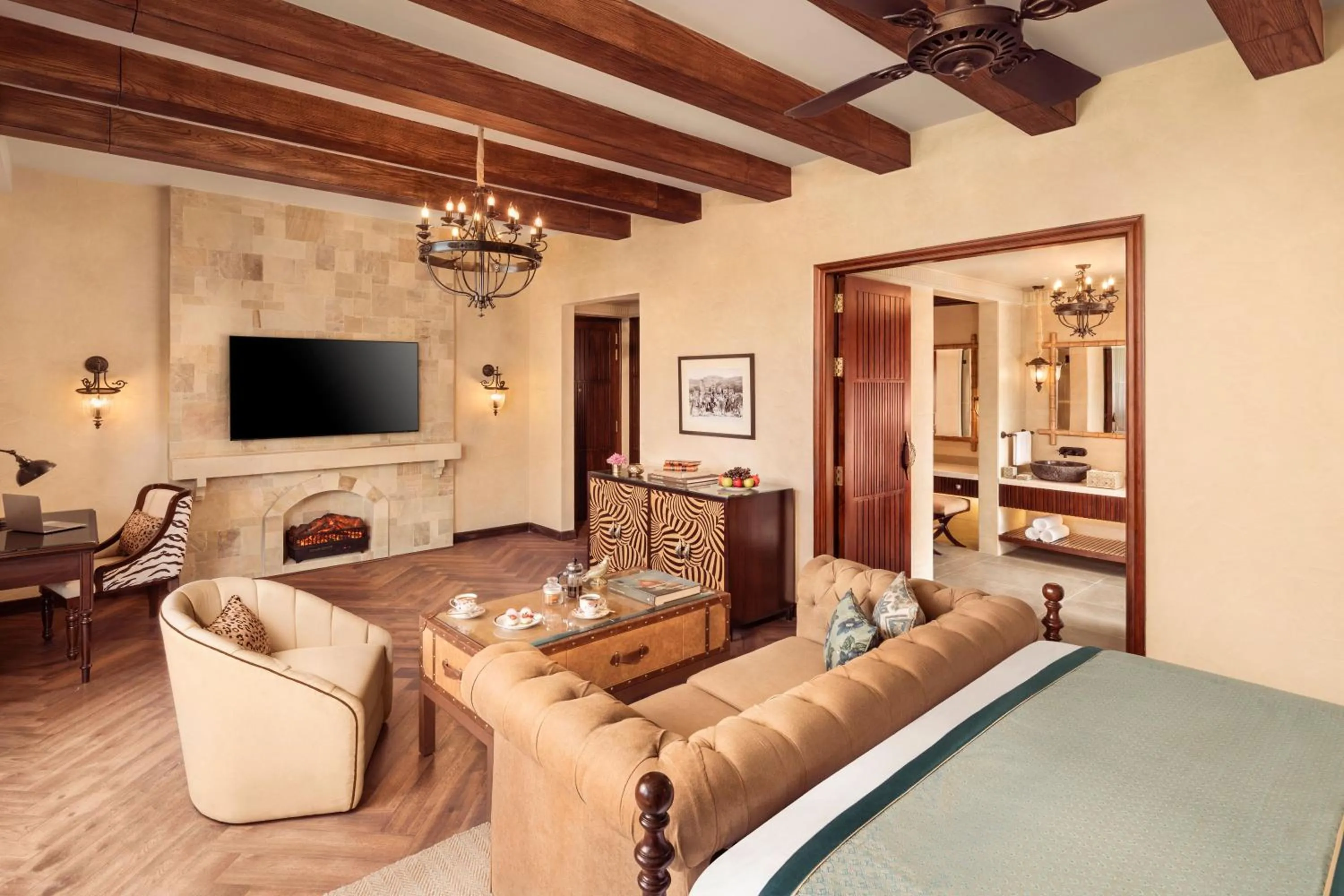 TV and multimedia in The Maharaja's Lodge, Ranthambore