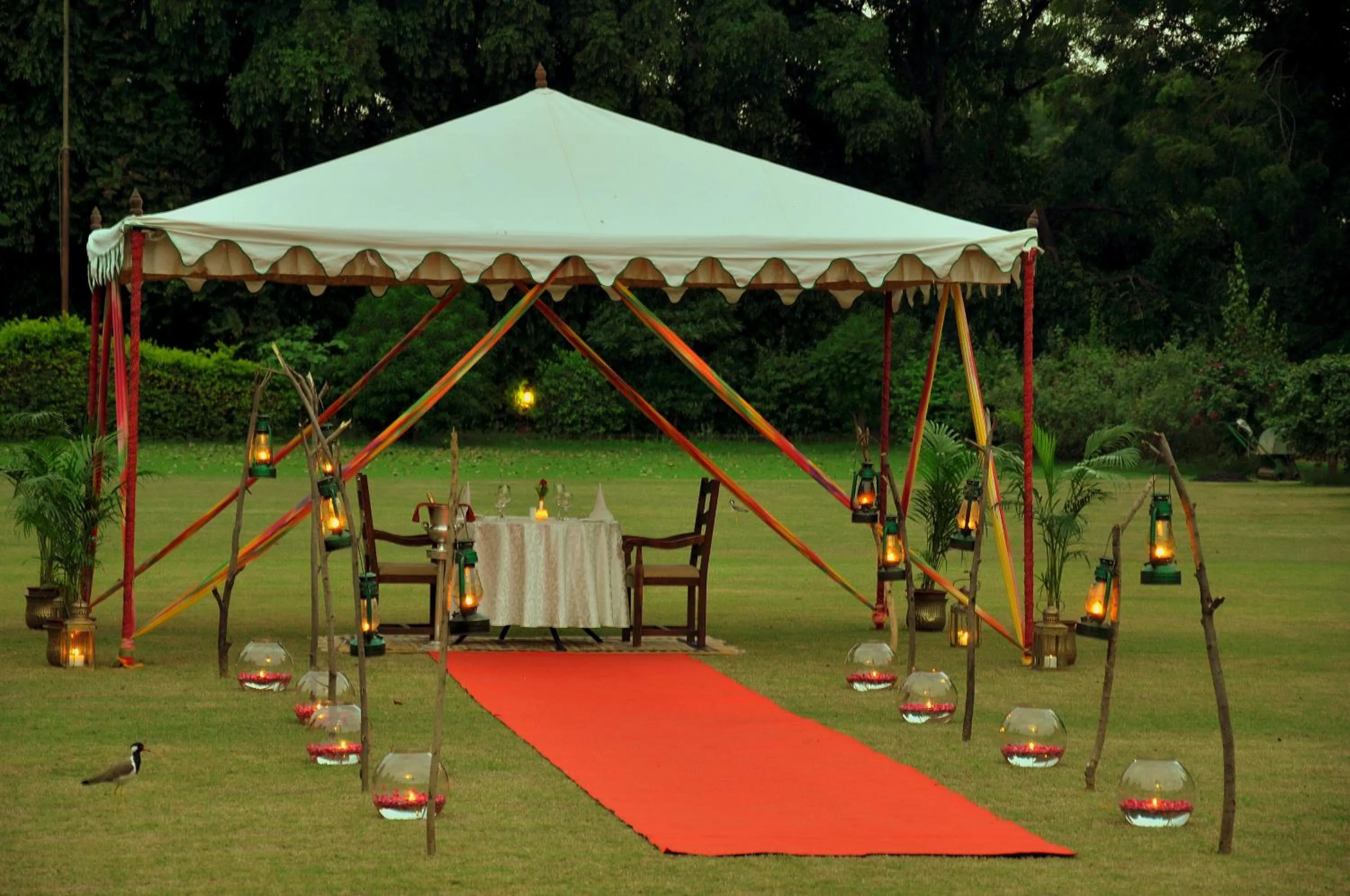 Restaurant/places to eat in The Maharaja's Lodge, Ranthambore