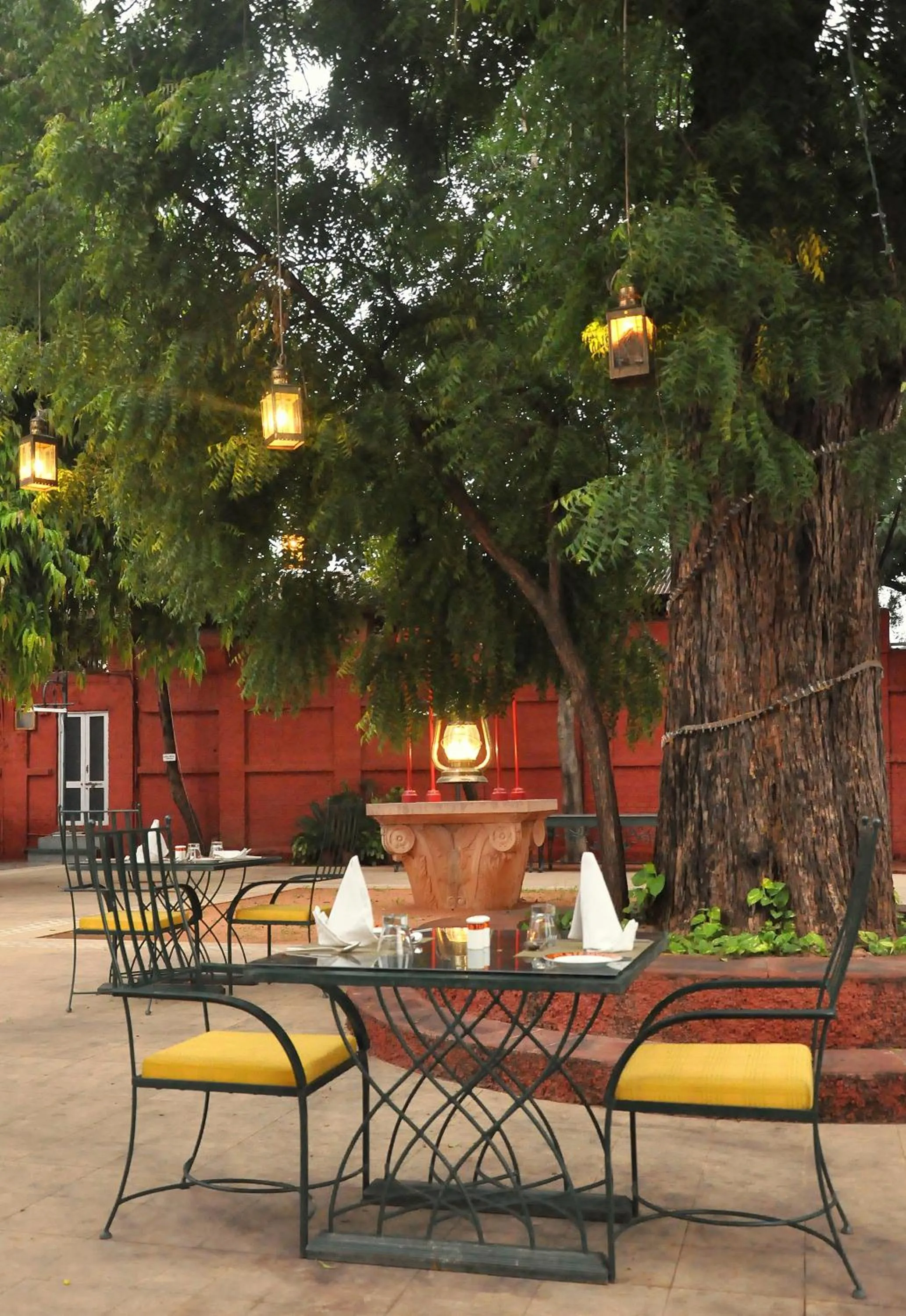 Food and drinks in The Maharaja's Lodge, Ranthambore