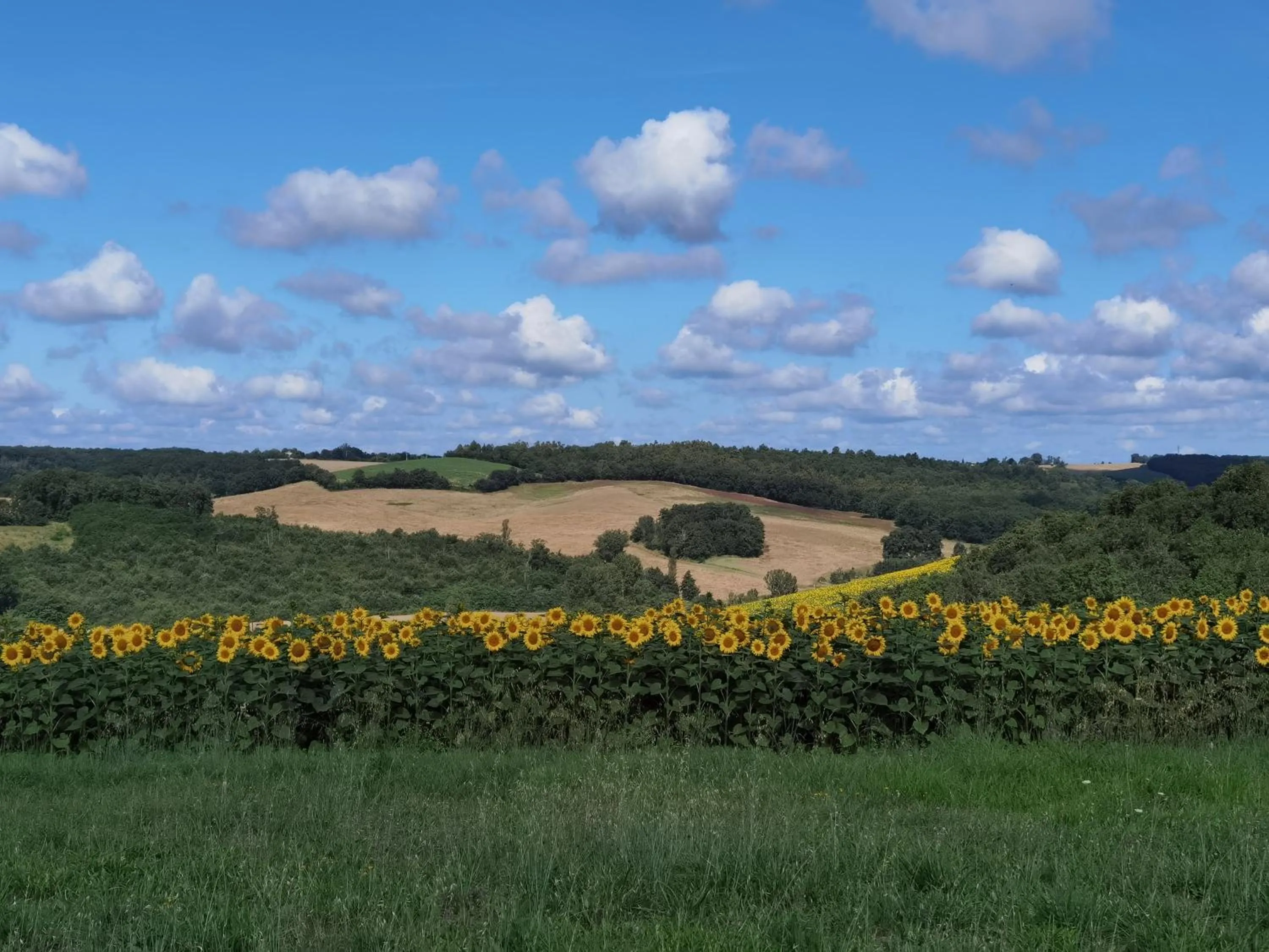 Natural landscape in Les Hauts de Grazac, Chambres et Tables d'hôtes