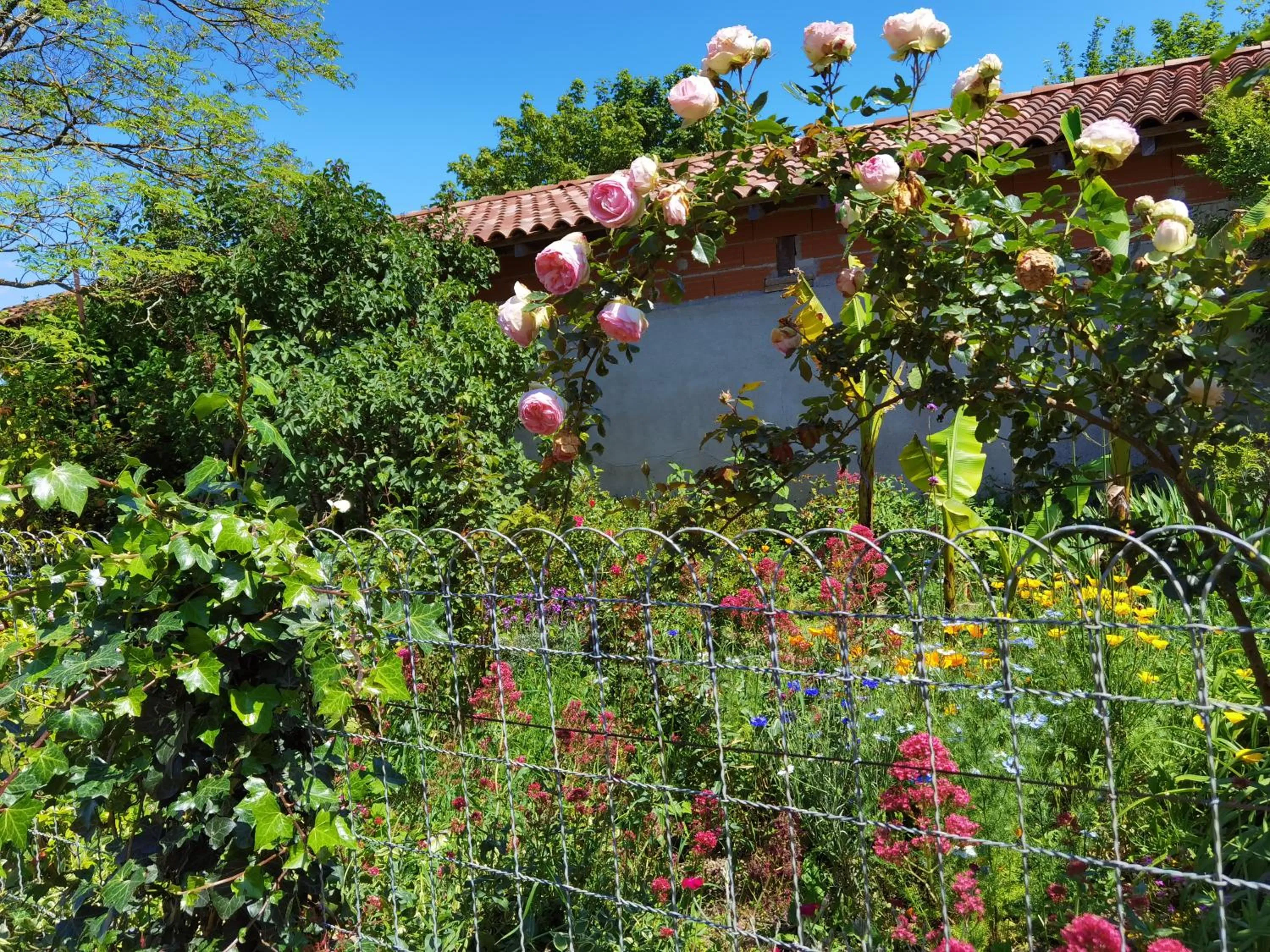 Garden in Les Hauts de Grazac, Chambres et Tables d'hôtes
