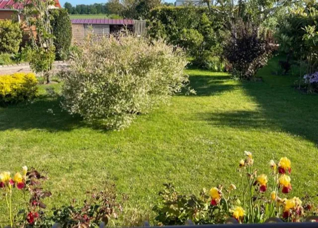 Garden in Le chasse marée