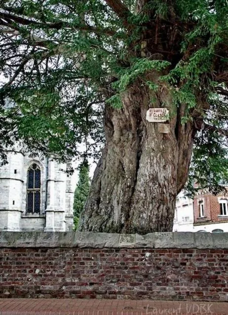 Nearby landmark in Le chasse marée