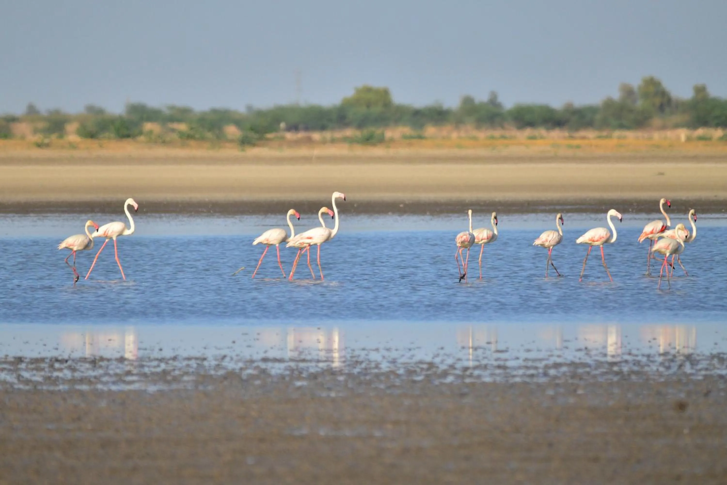 View (from property/room) in WelcomHeritage Cheetahgarh Resort & Spa