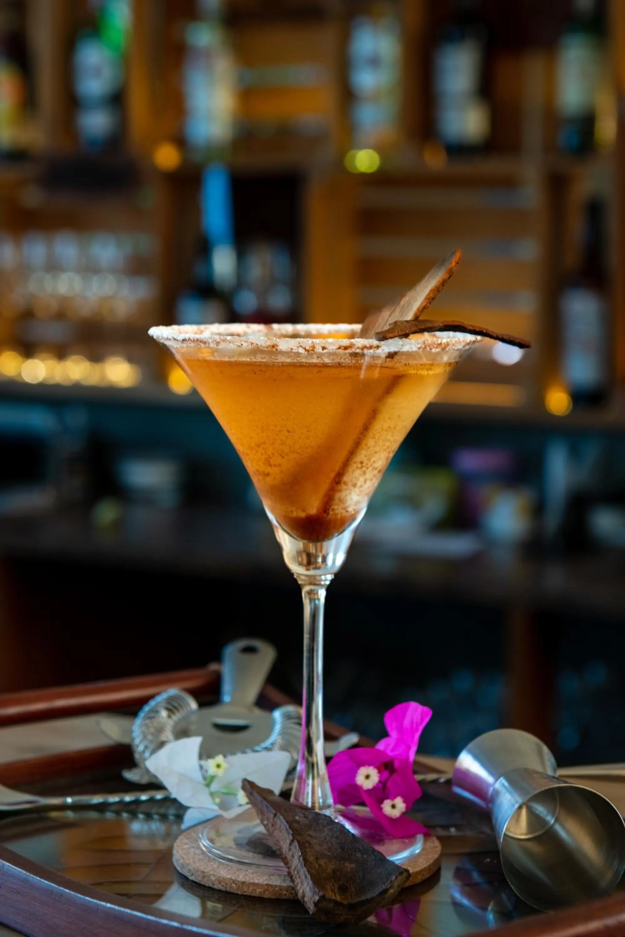 Nightclub / DJ in WelcomHeritage Cheetahgarh Resort & Spa