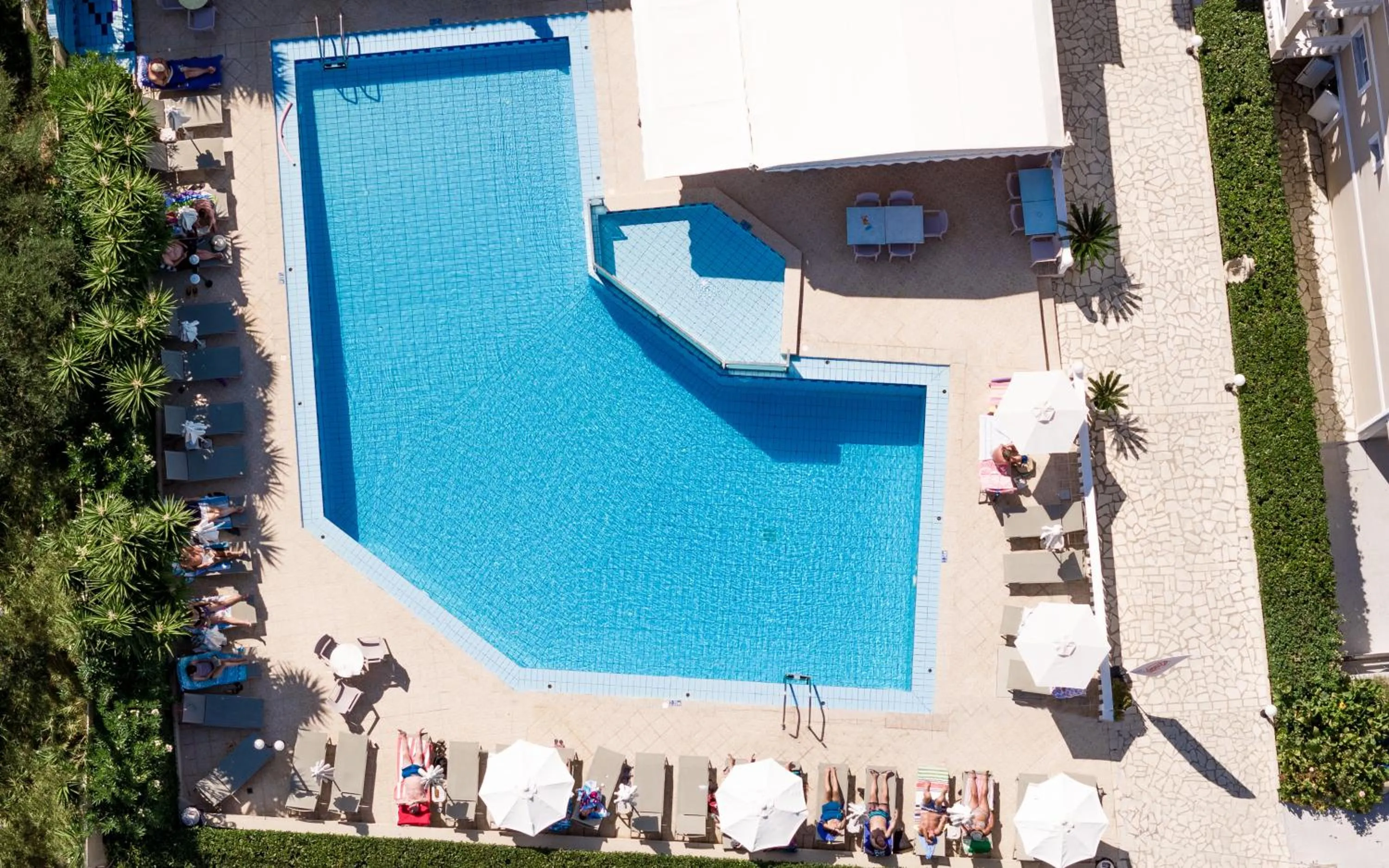Swimming pool in Daisy Hotel