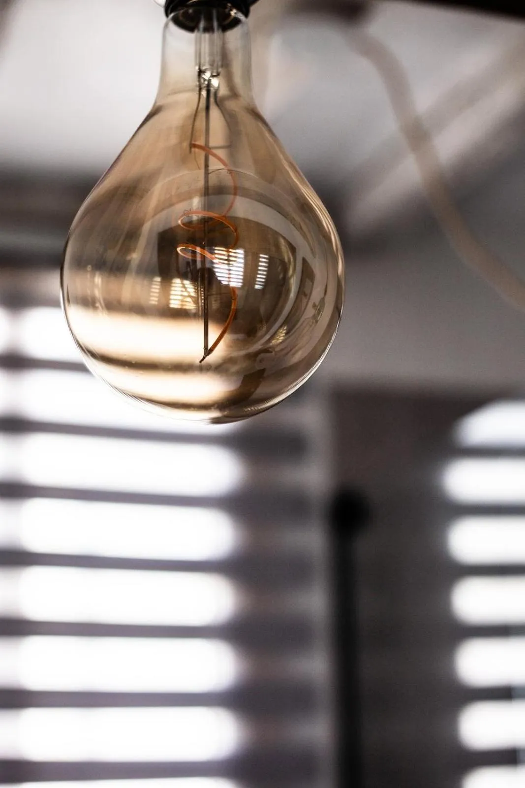 Decorative detail in LE DUPE