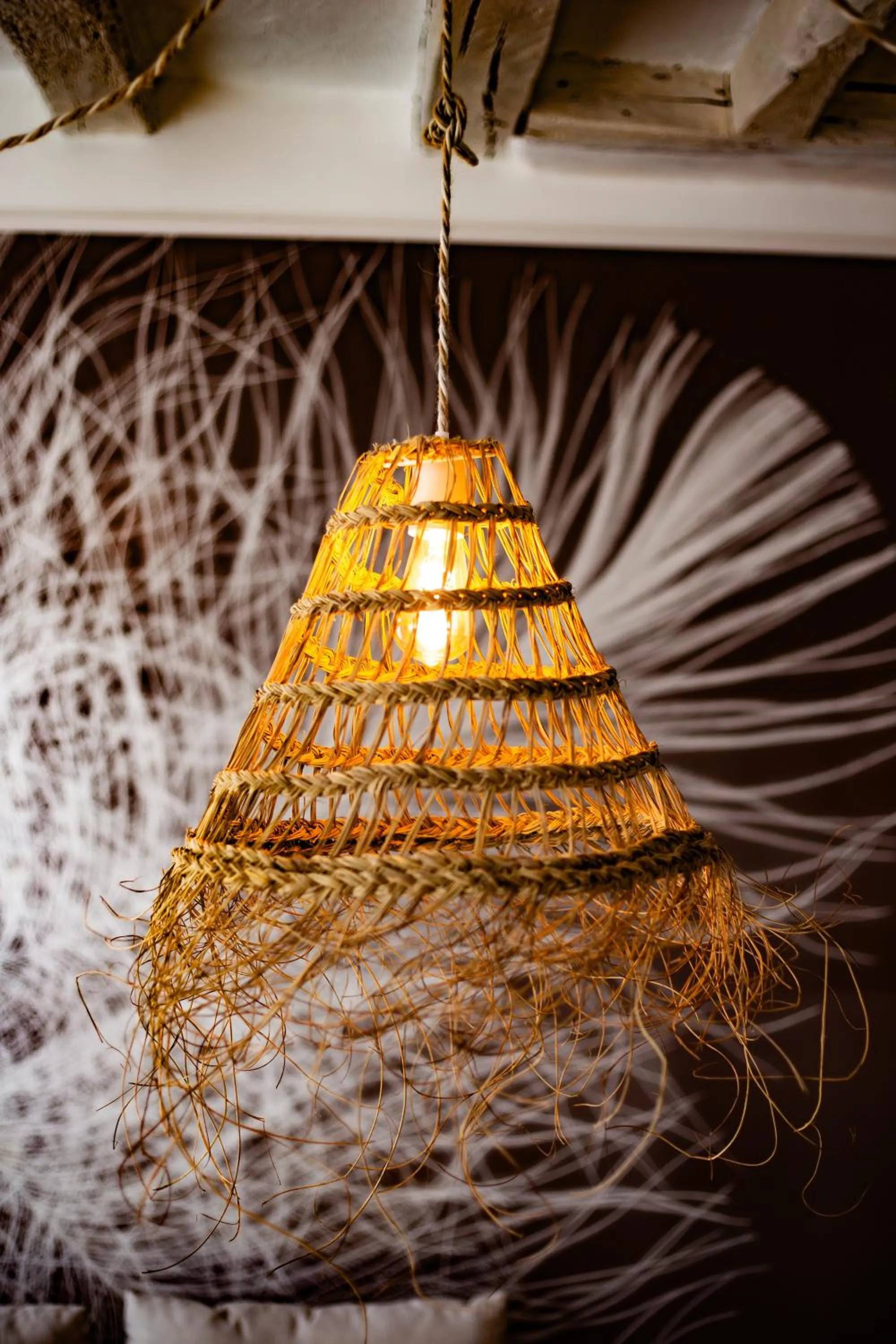 Decorative detail in LE DUPE