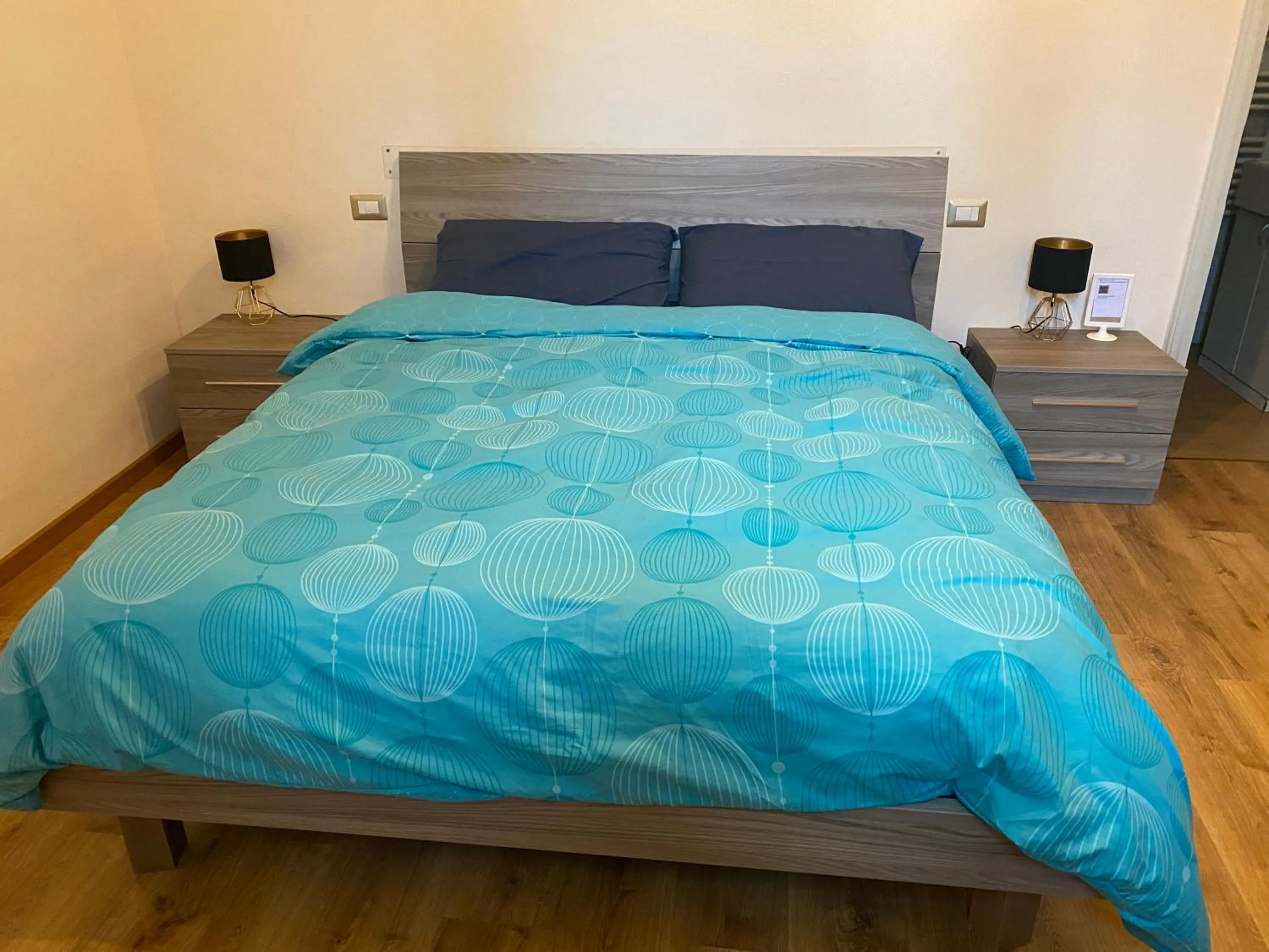 Double Room with Private Bathroom in Villa Zara