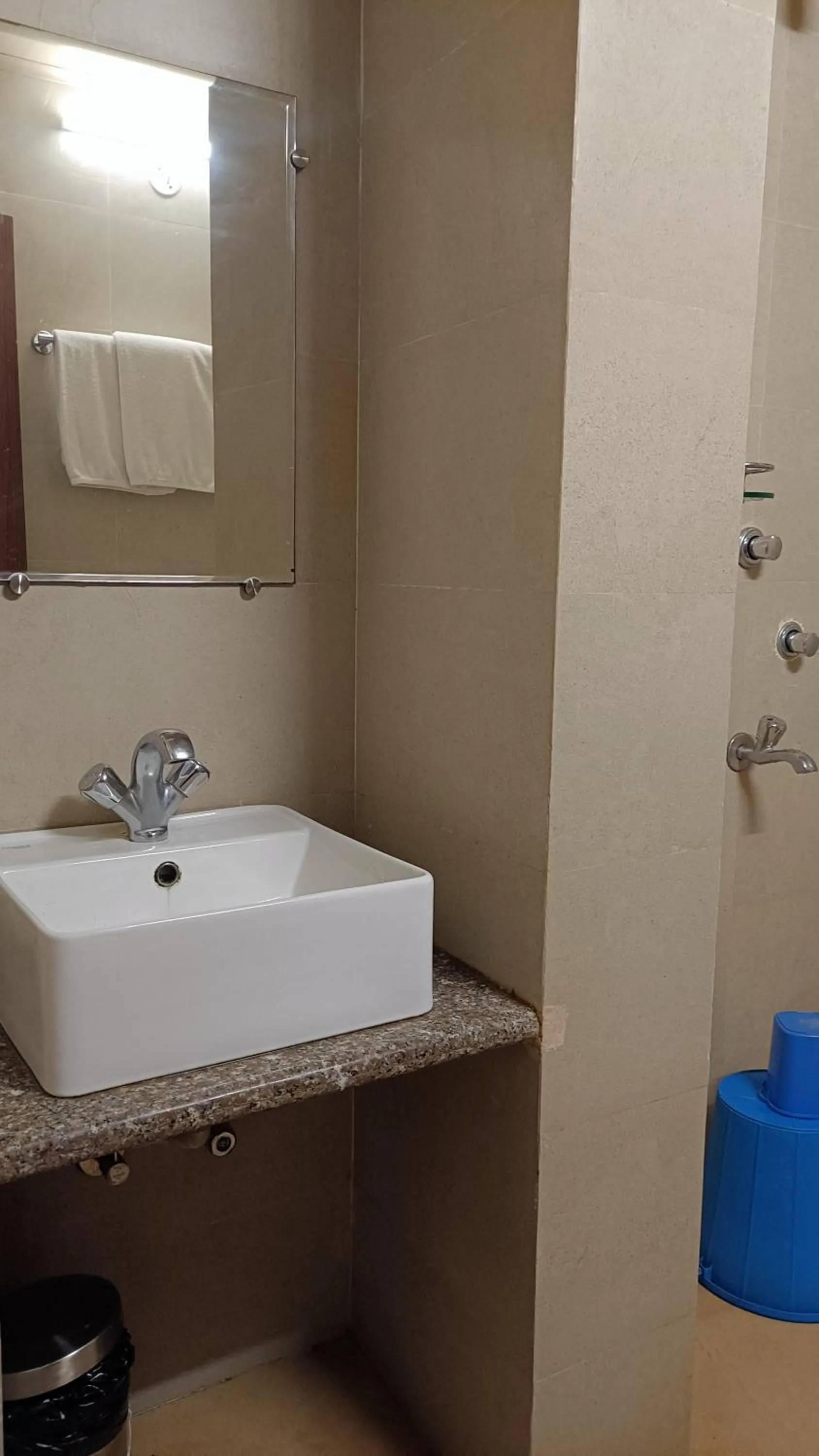 Bathroom in Hotel Saluja