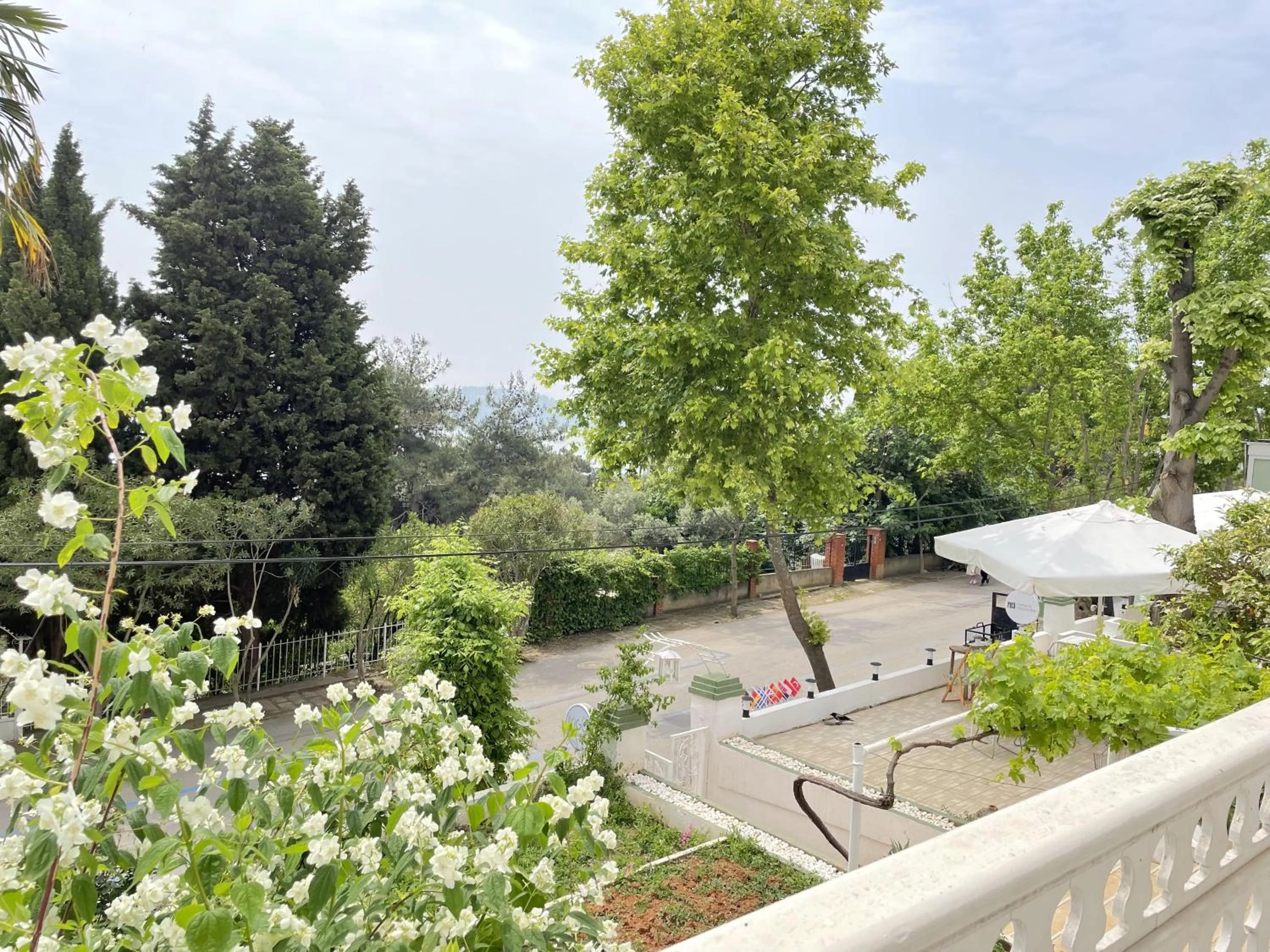 Garden in Ikigai Hotel Villa Rıfat