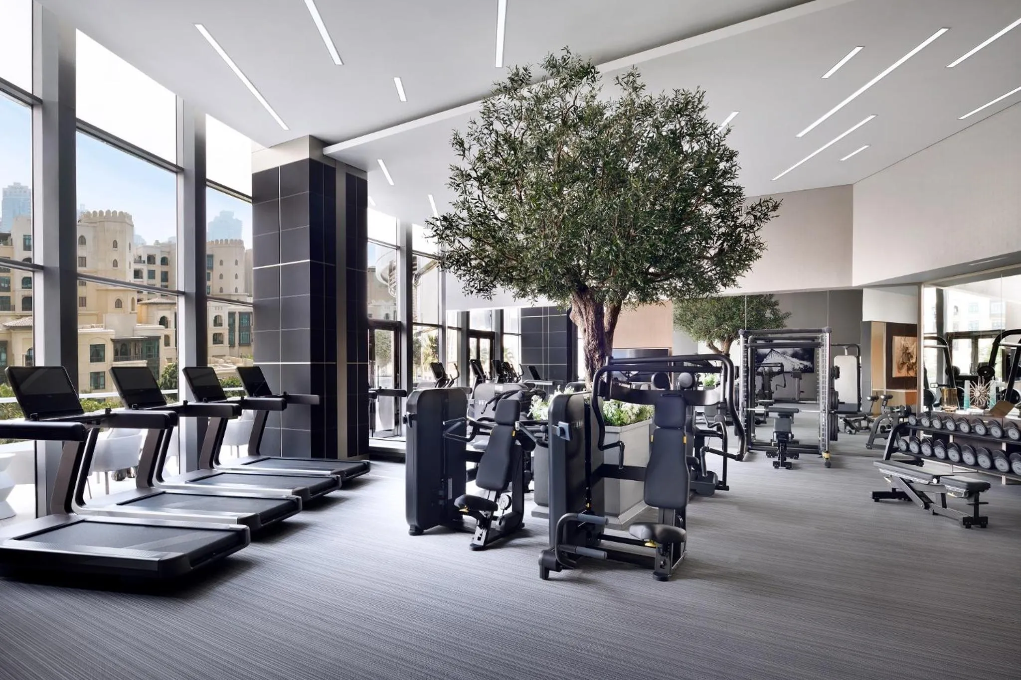 Fitness centre/facilities in Address Downtown
