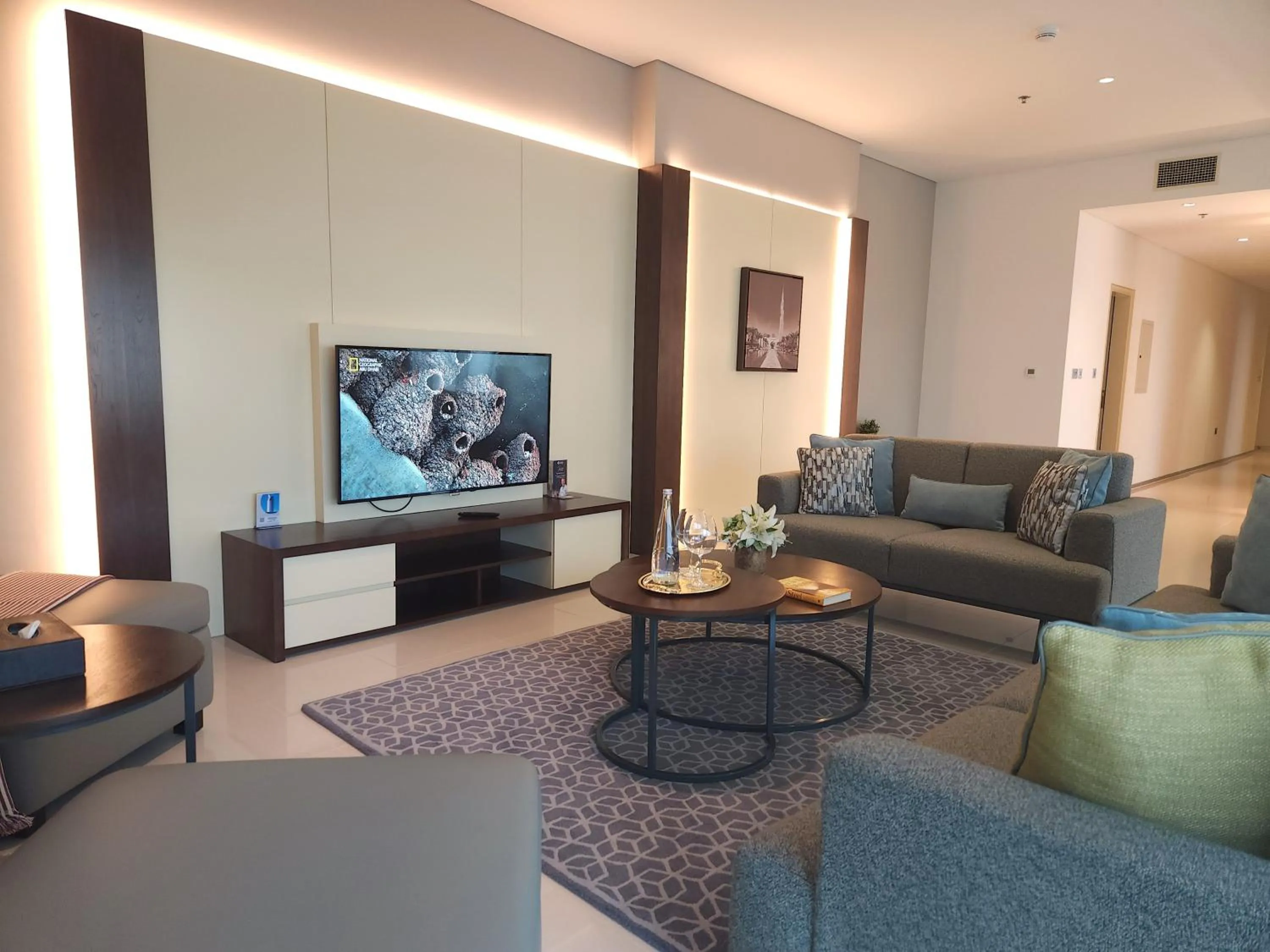TV and multimedia in Ascott Park Place Dubai
