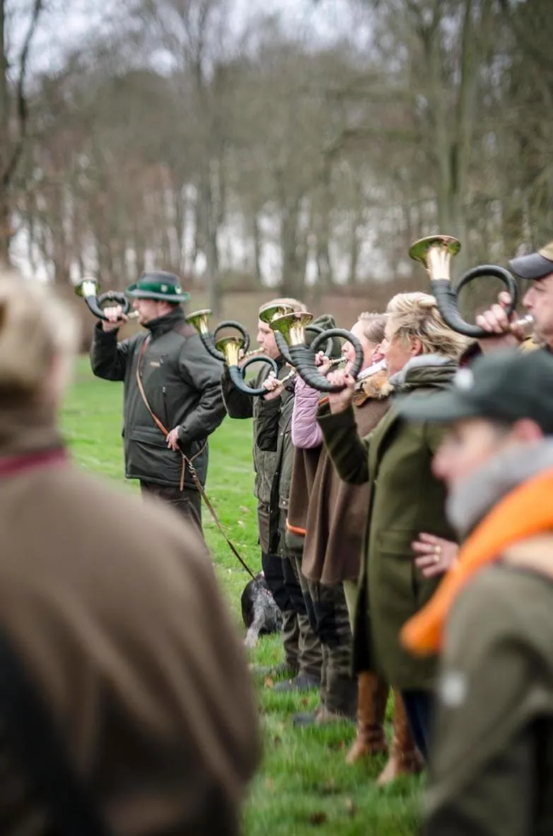Activities in SCHLOSS Fleesensee