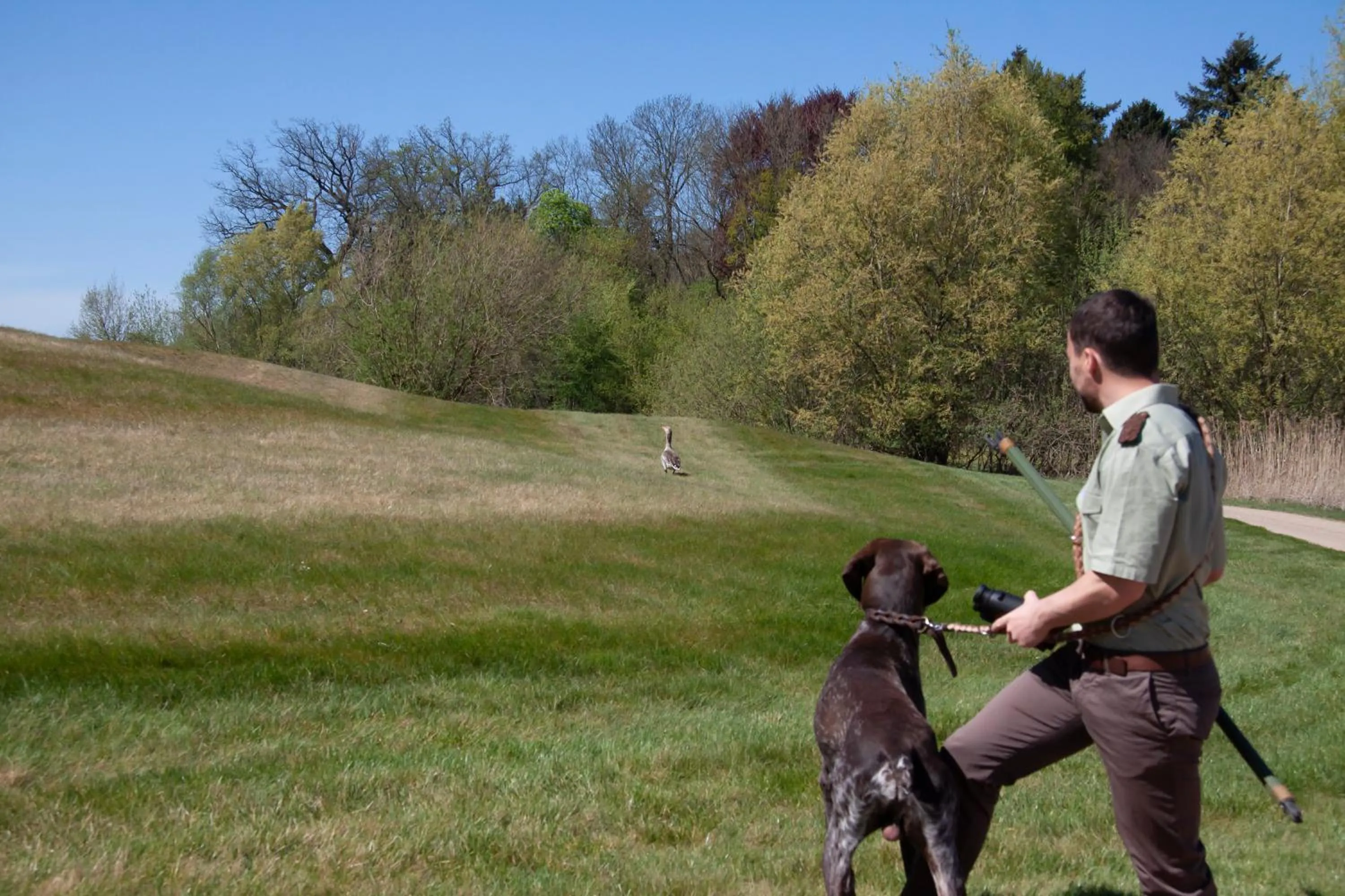 Activities in SCHLOSS Fleesensee