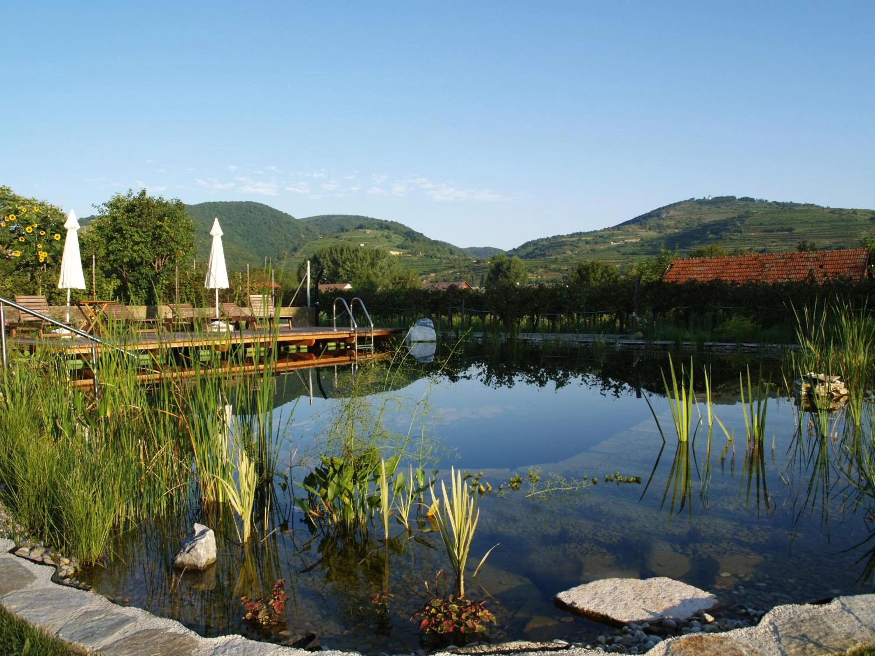 Garden in ad vineas Gästehaus Nikolaihof-Hotel Garni