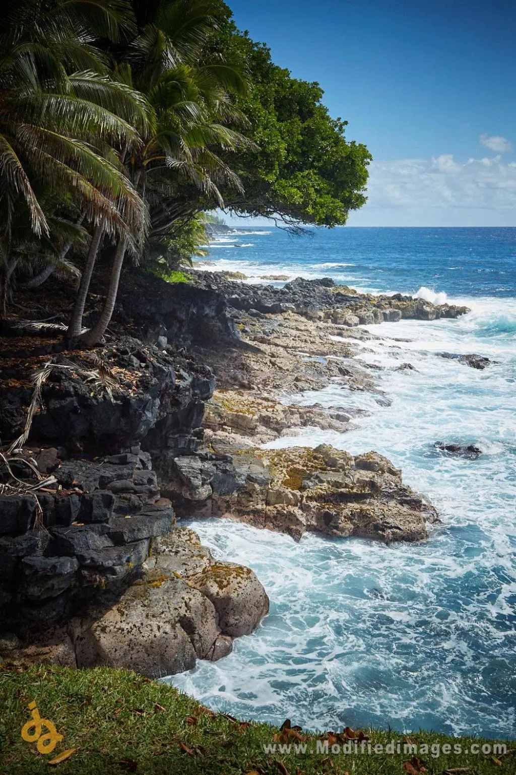 Natural landscape in Open Gate Hostel Hawaii