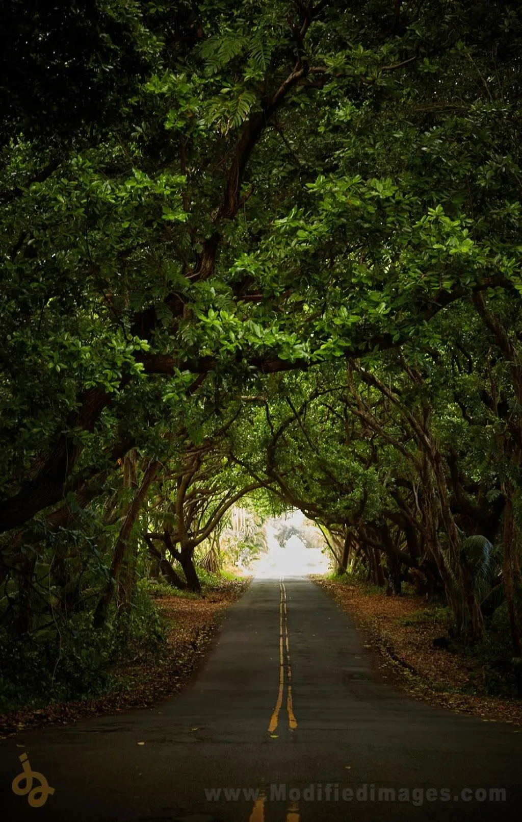 Open Gate Hostel Hawaii