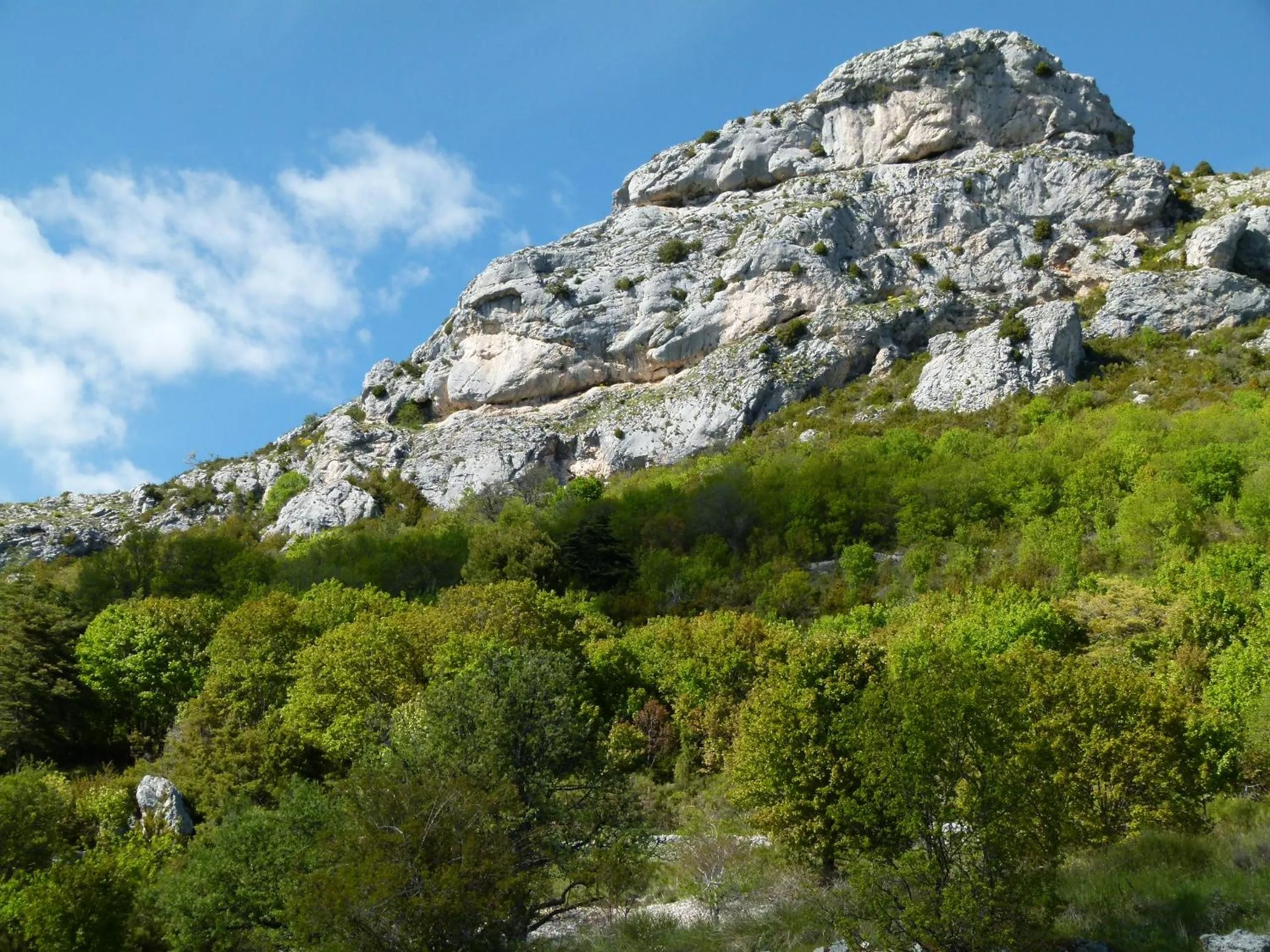 Natural landscape in chambre campagnarde