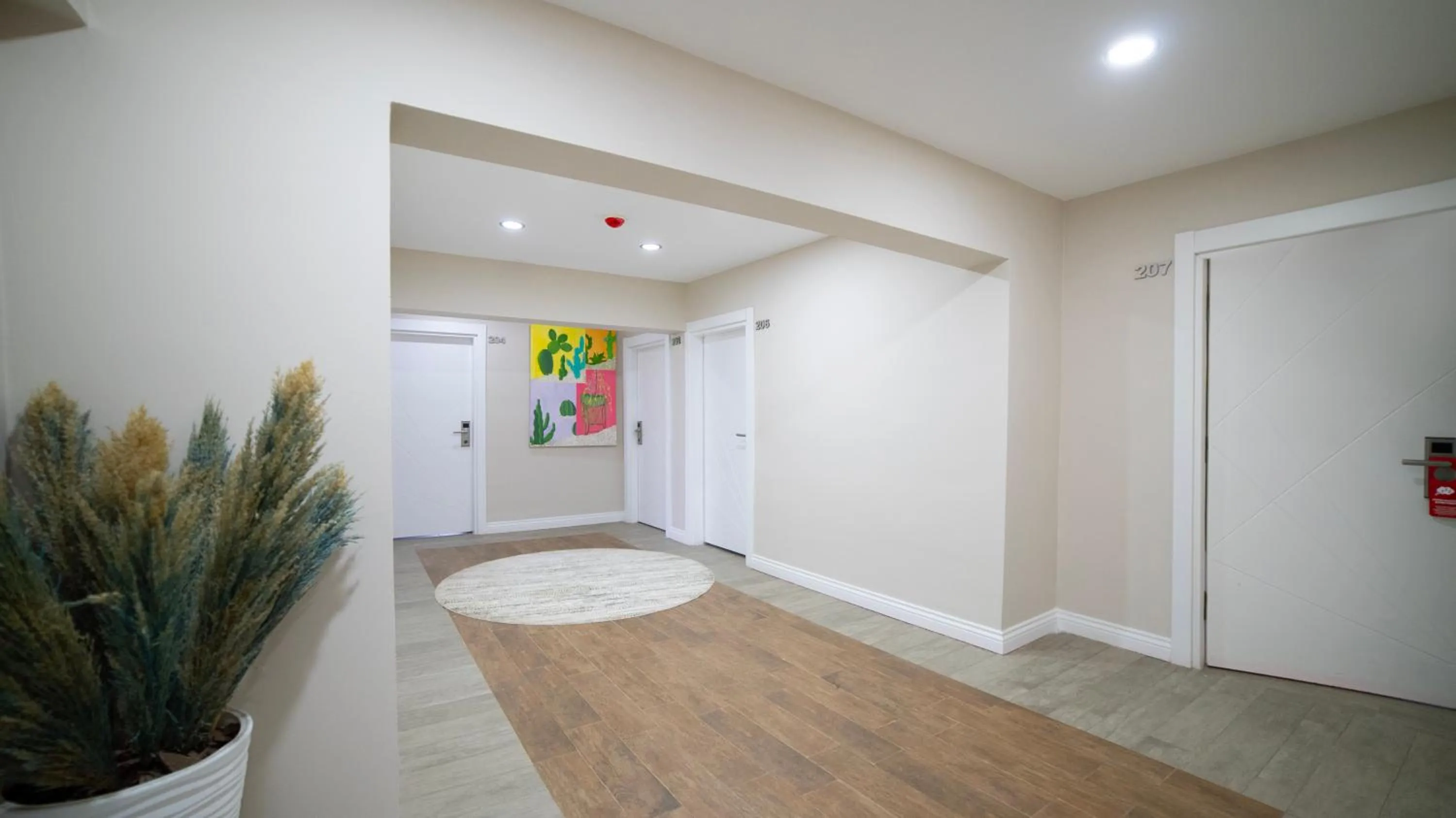 Area and facilities in La Cactus Boutique Hotel