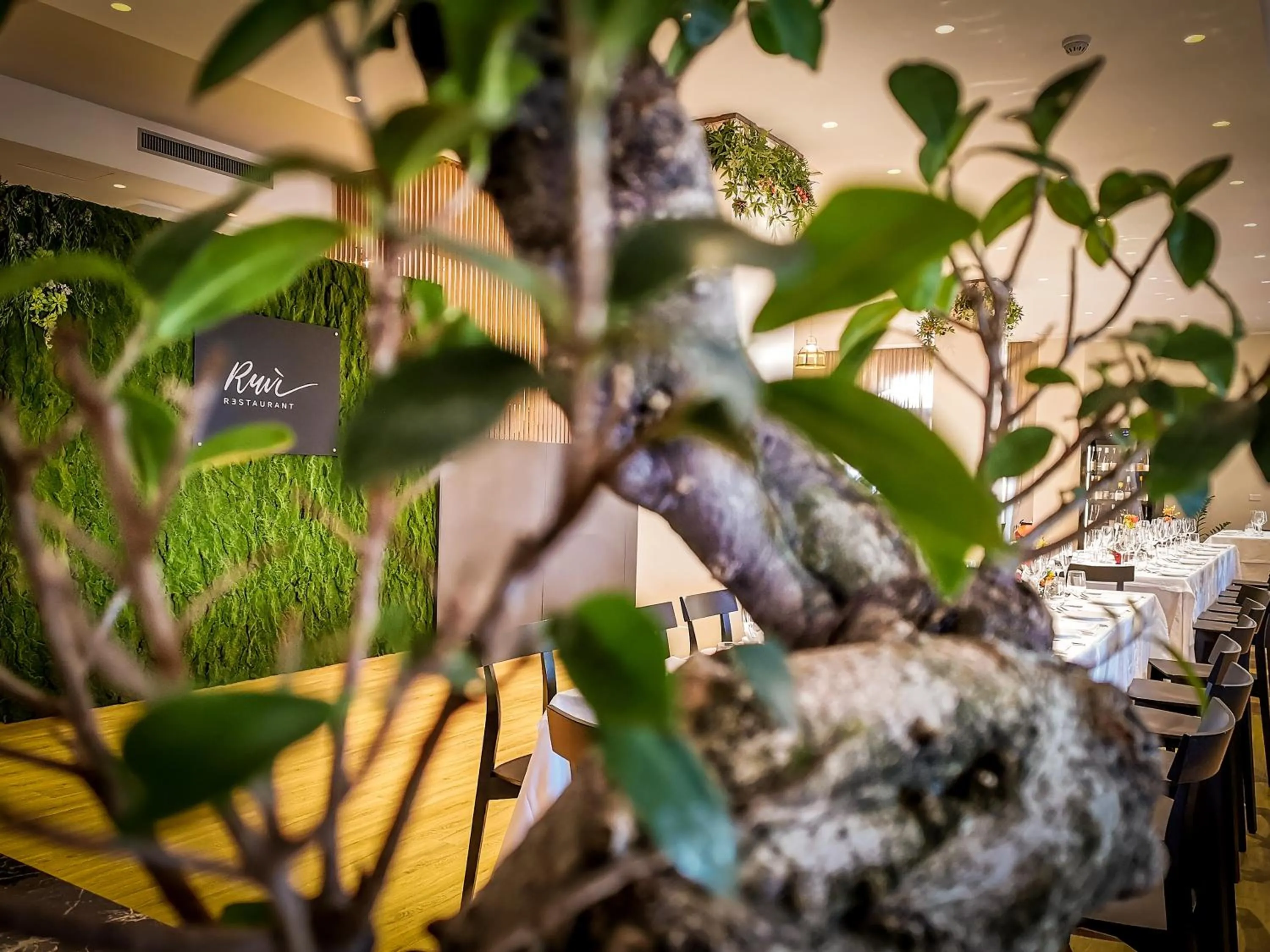 Restaurant/places to eat in Santoro Country House