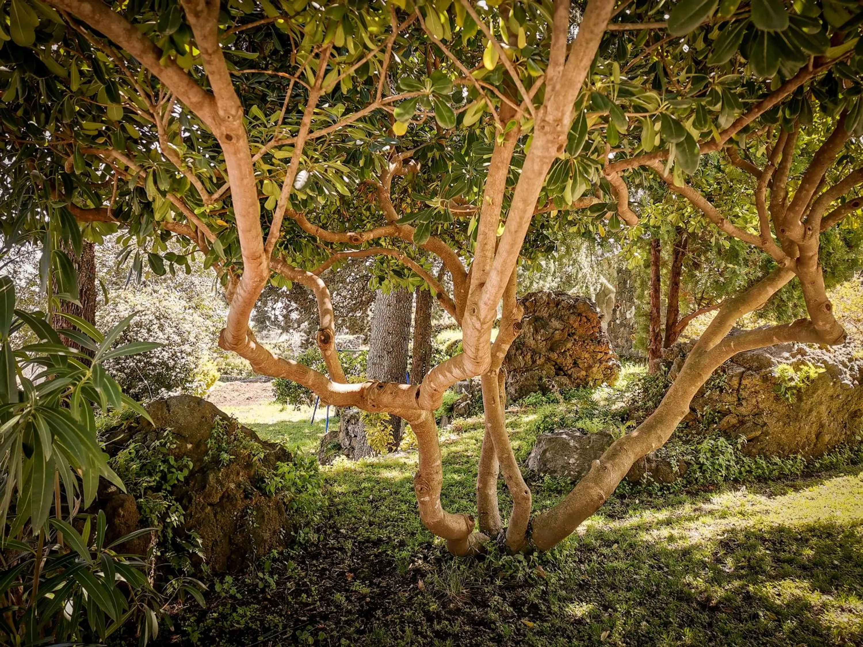 Santoro Country House