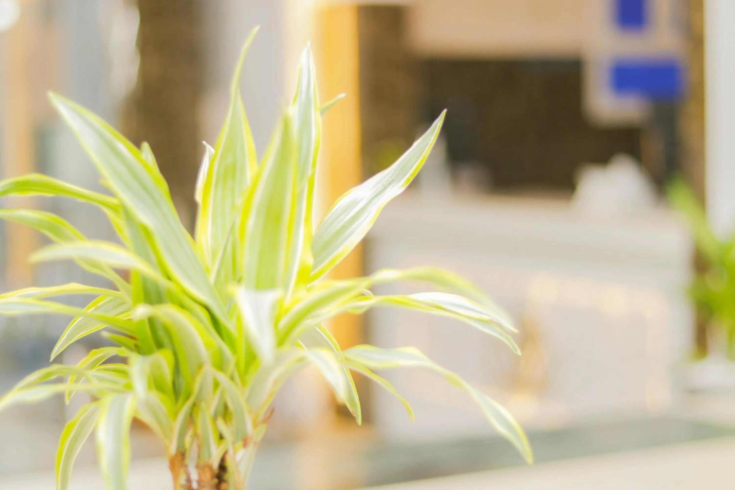 Diafat Alsaadah For Serviced Apartment-Dumat Al Jandal