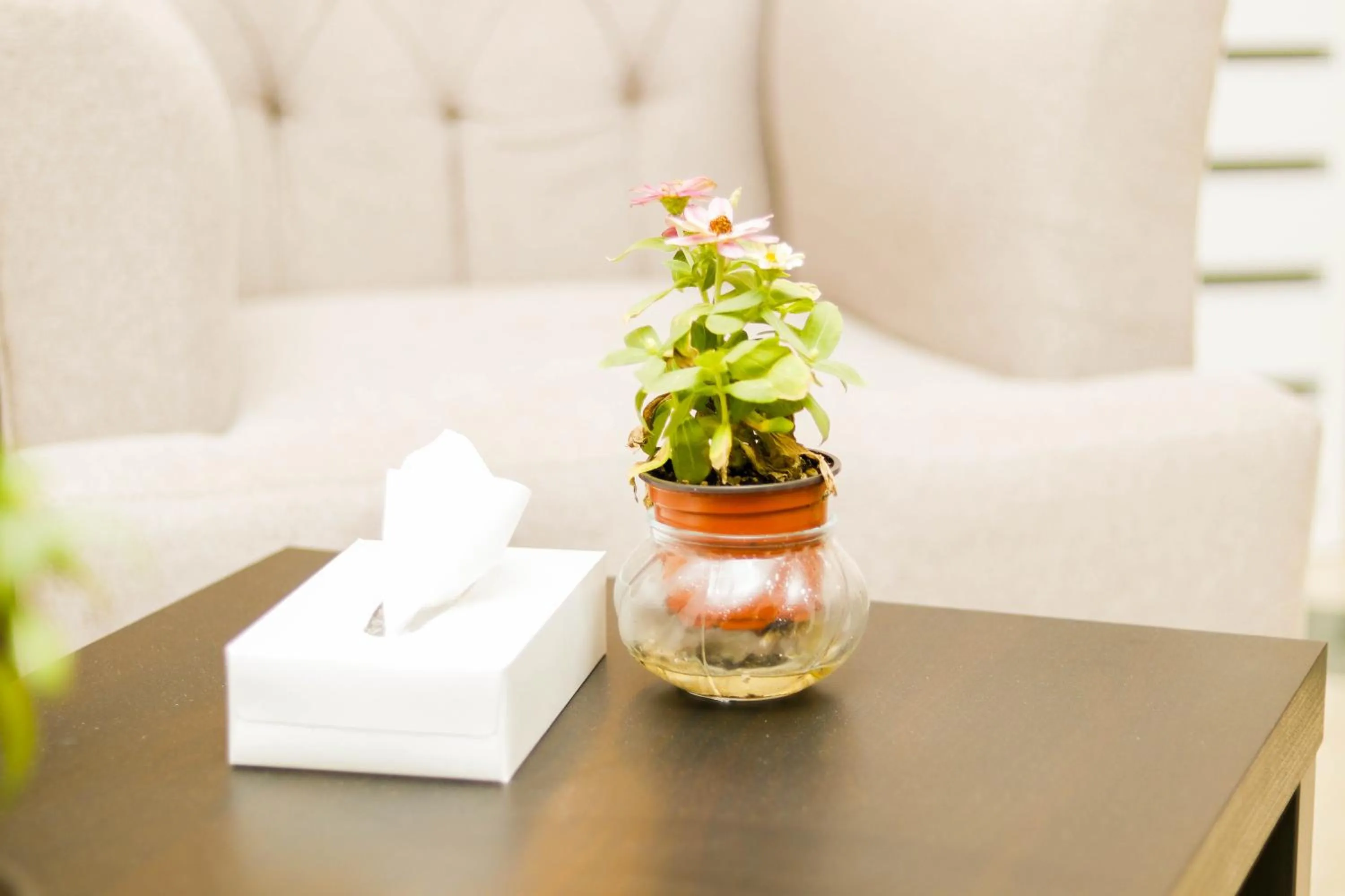 Diafat Alsaadah For Serviced Apartment-Dumat Al Jandal