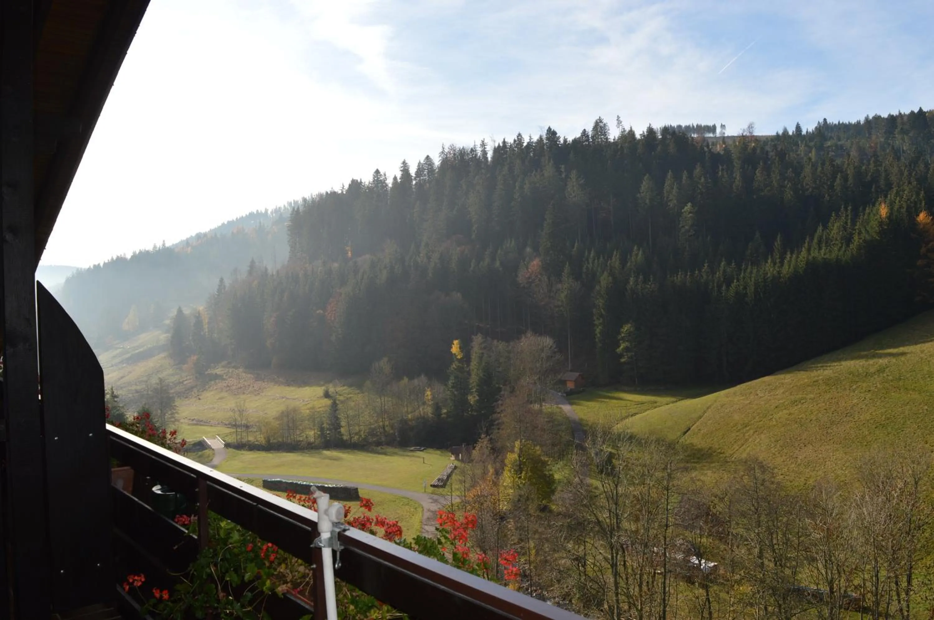 View (from property/room) in Landhaus Eickler
