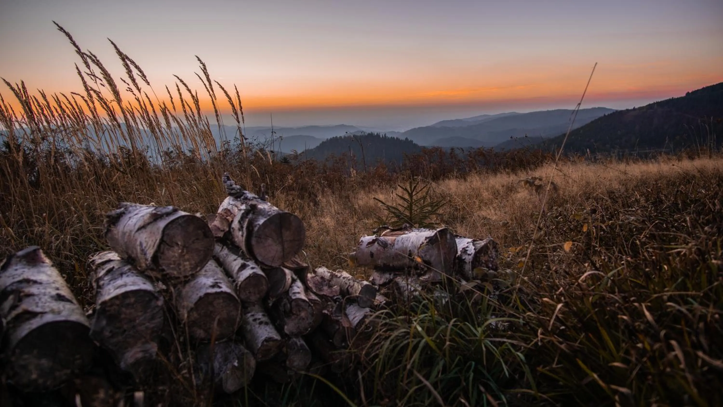 Natural landscape in Landhaus Eickler
