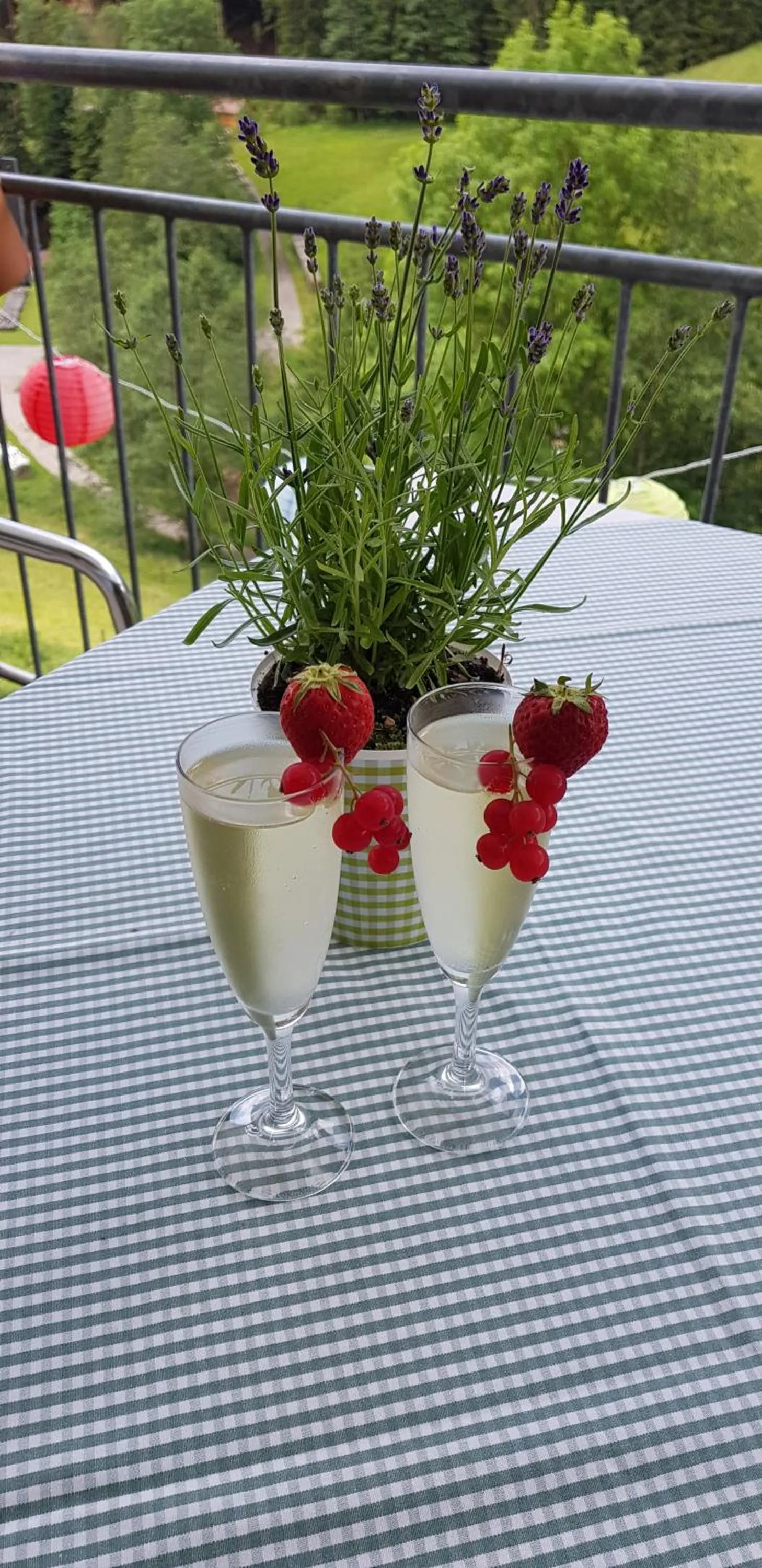 Alcoholic drinks in Landhaus Eickler
