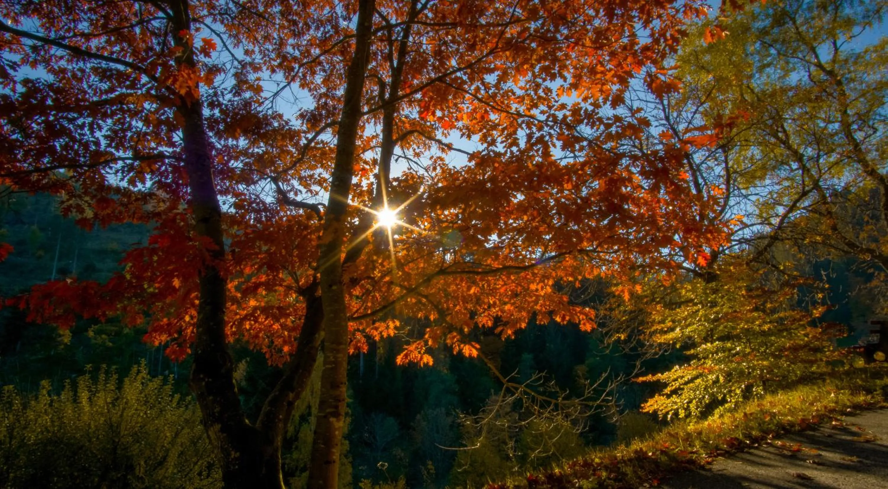 Natural landscape in Landhaus Eickler