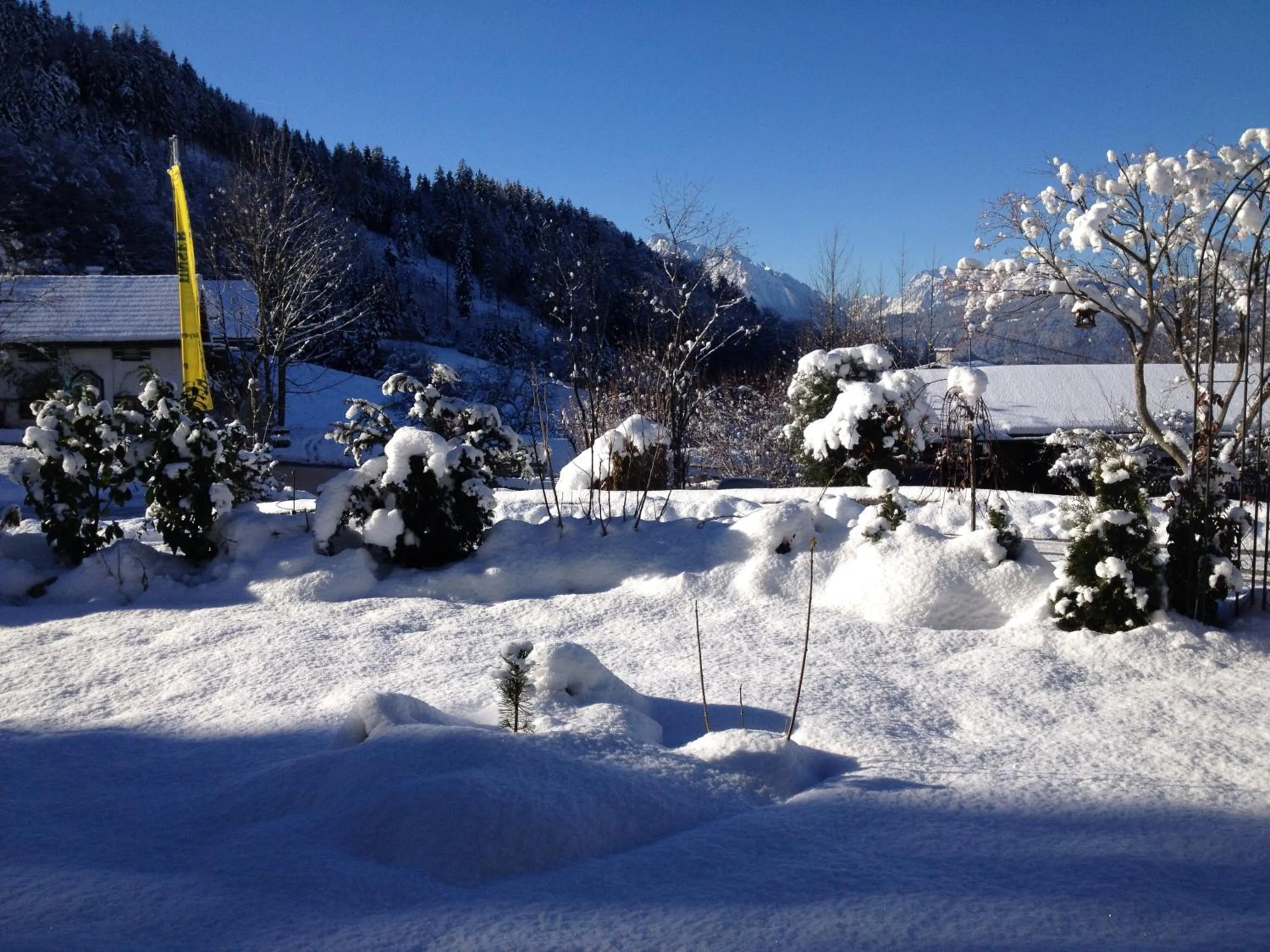 Facade/entrance in Alpenhotel Bergzauber