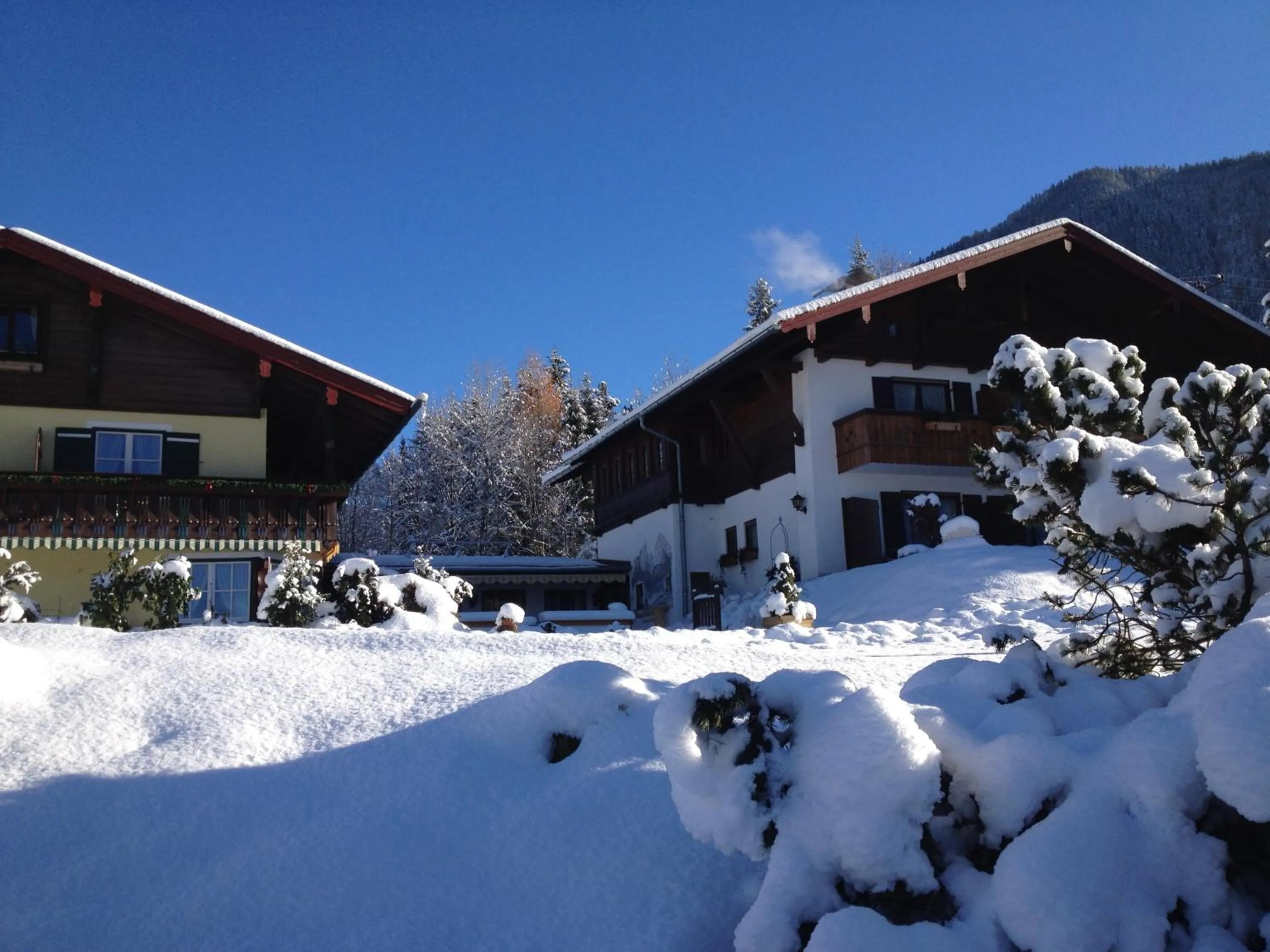 Facade/entrance in Alpenhotel Bergzauber