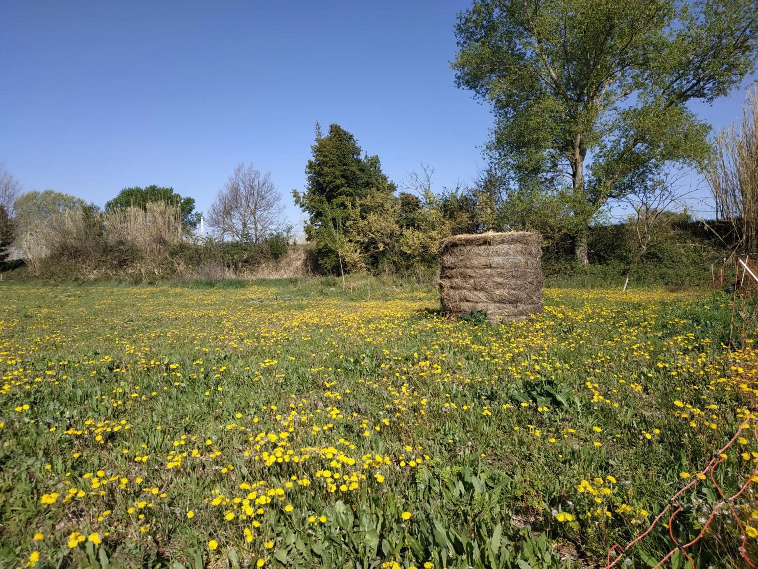 La ferme des Escampades