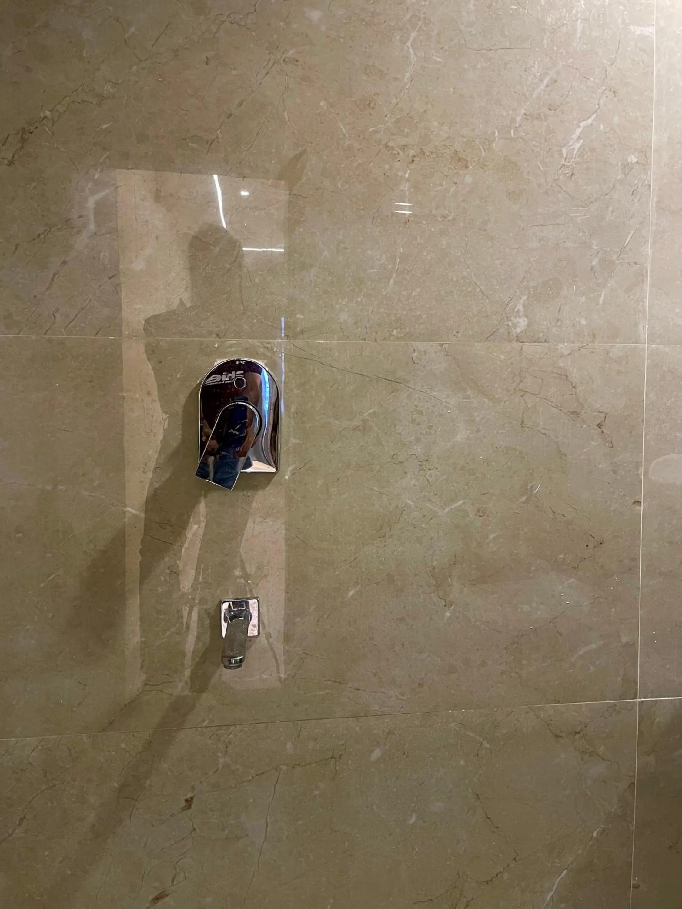 Bathroom in Hotel Himgiri