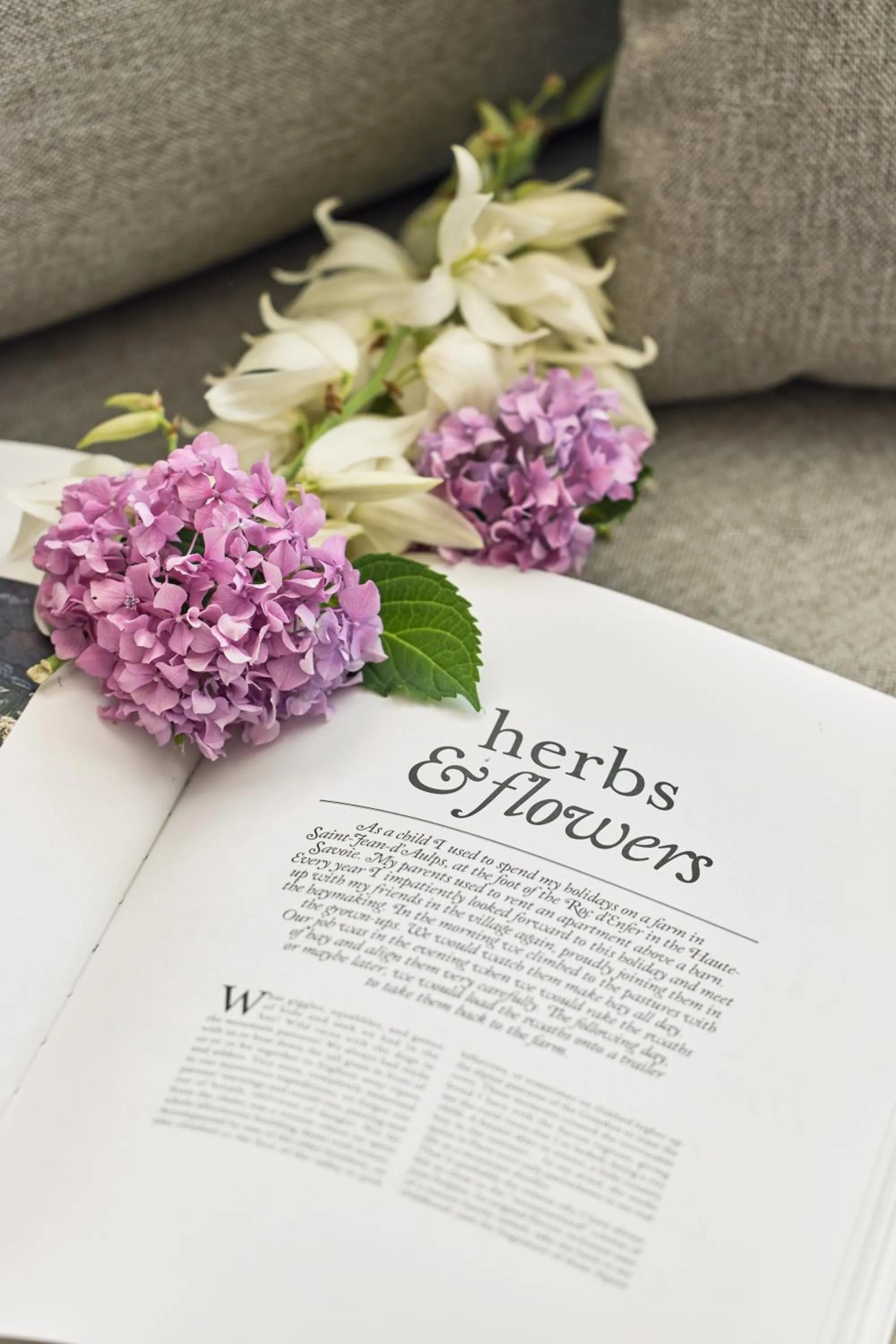 Decorative detail in La Fleur Boutique Hotel