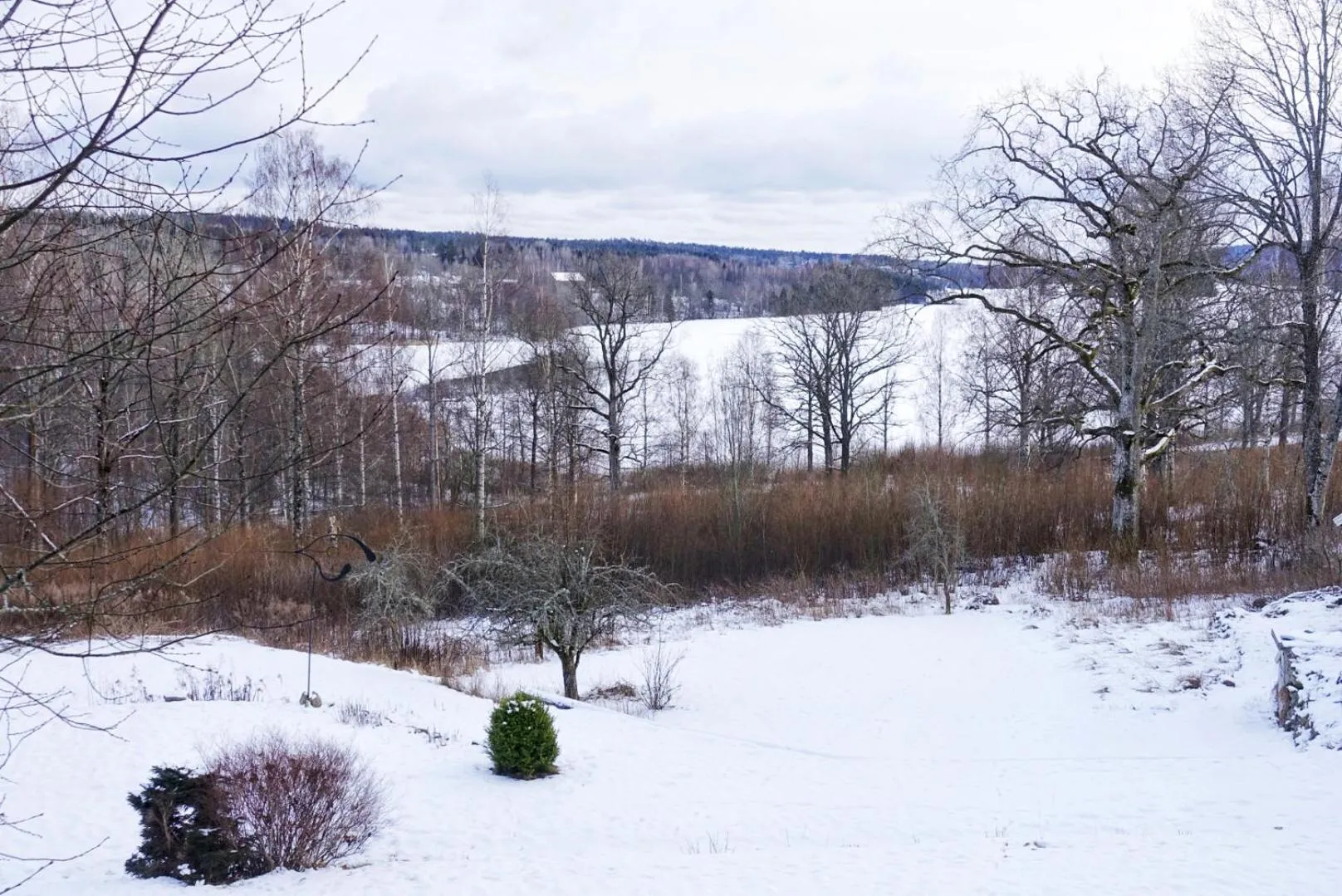 View (from property/room) in Nordic Refuge B&B