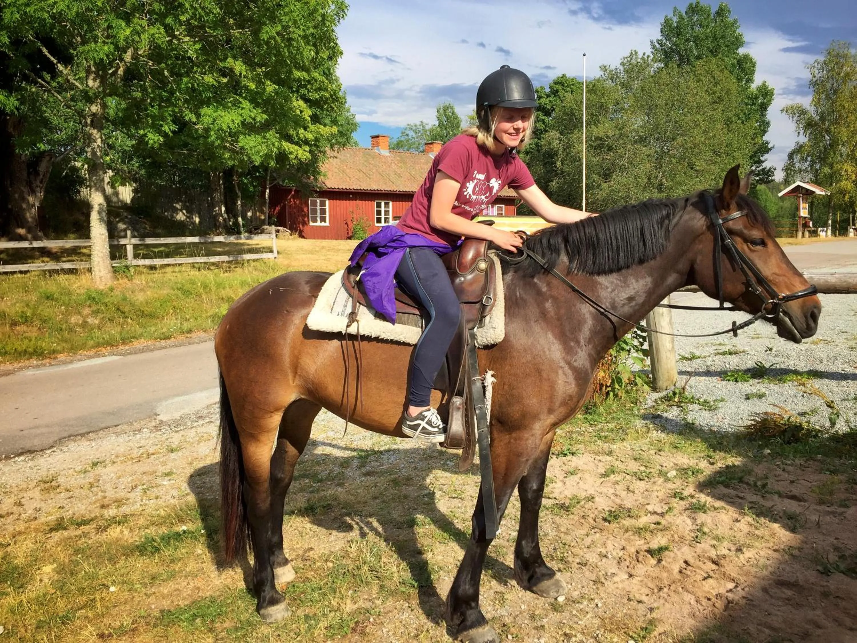 Horse-riding in Nordic Refuge B&B