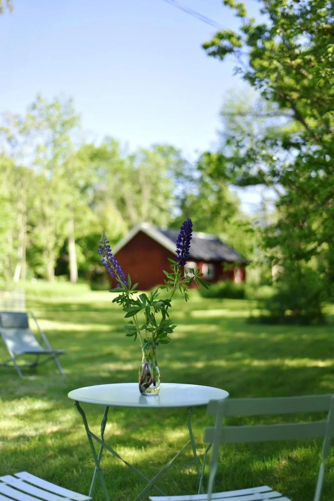Garden in Nordic Refuge B&B
