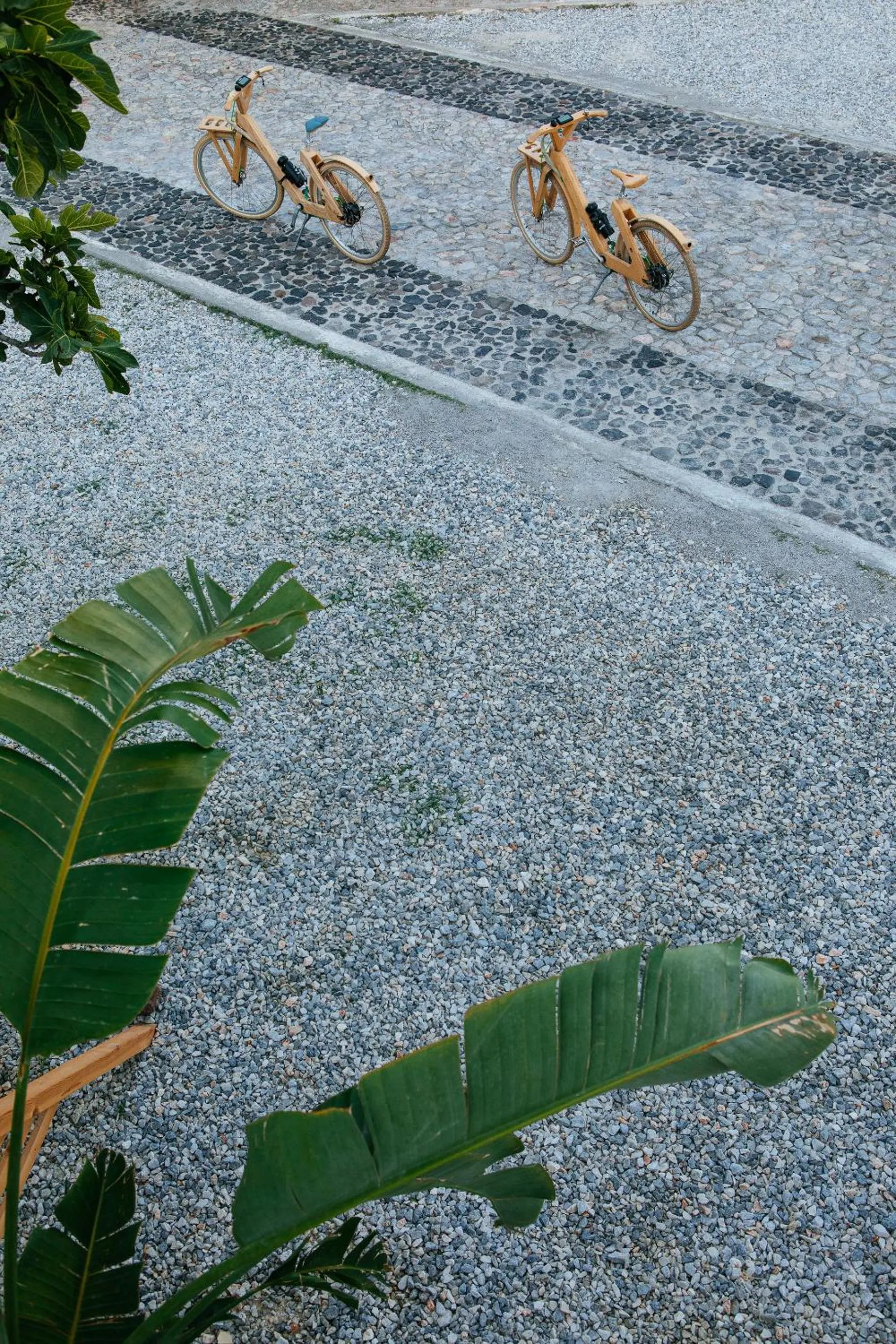 Activities in Exi Sea Side Suites