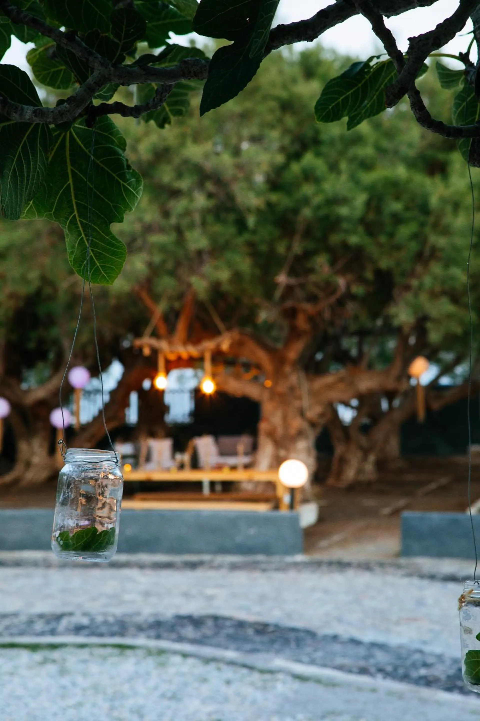 Garden in Exi Sea Side Suites