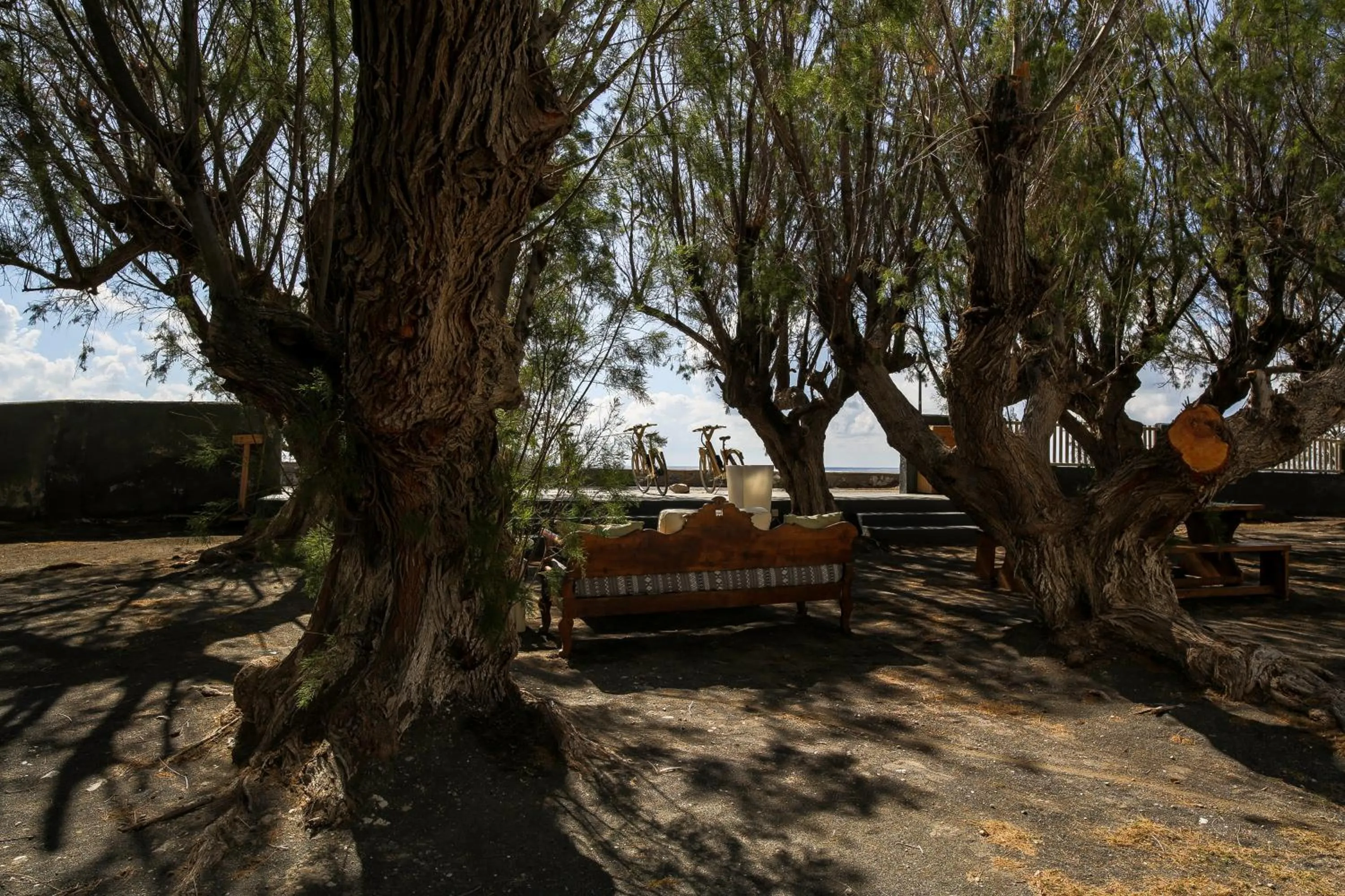 Garden in Exi Sea Side Suites