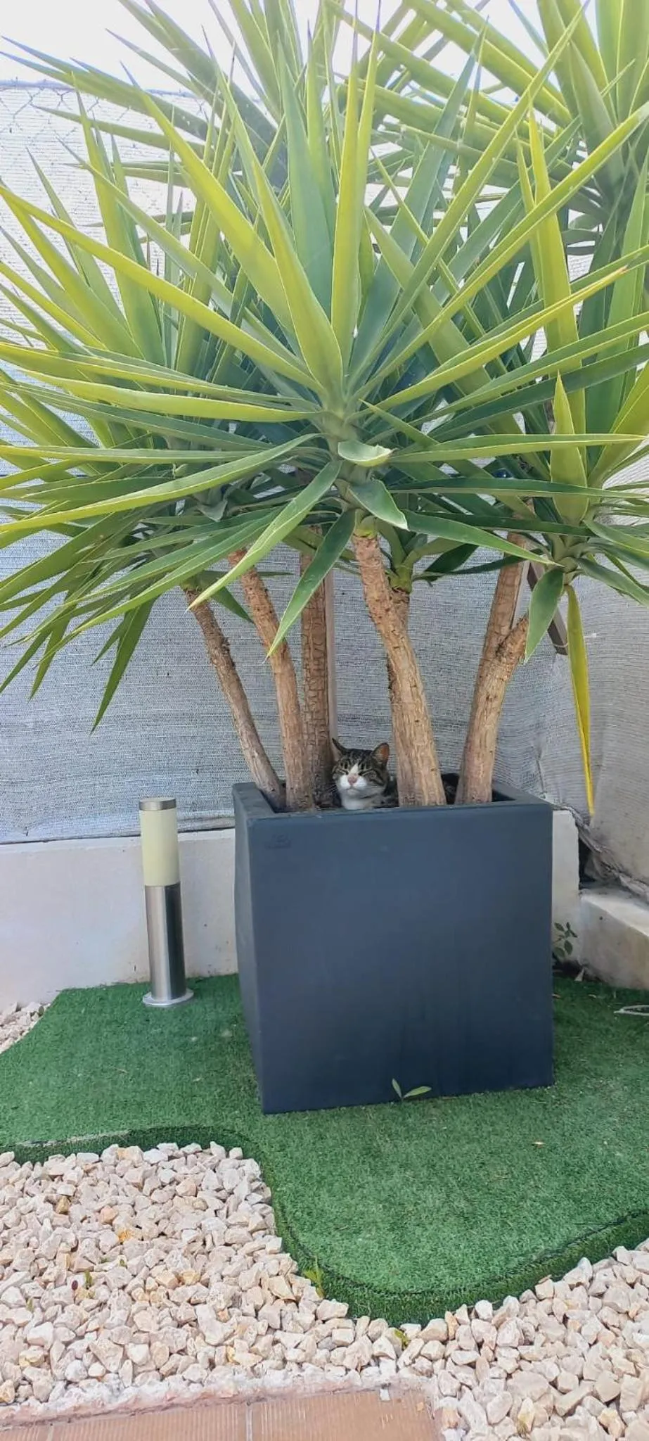 Garden in Aquamarì B&B