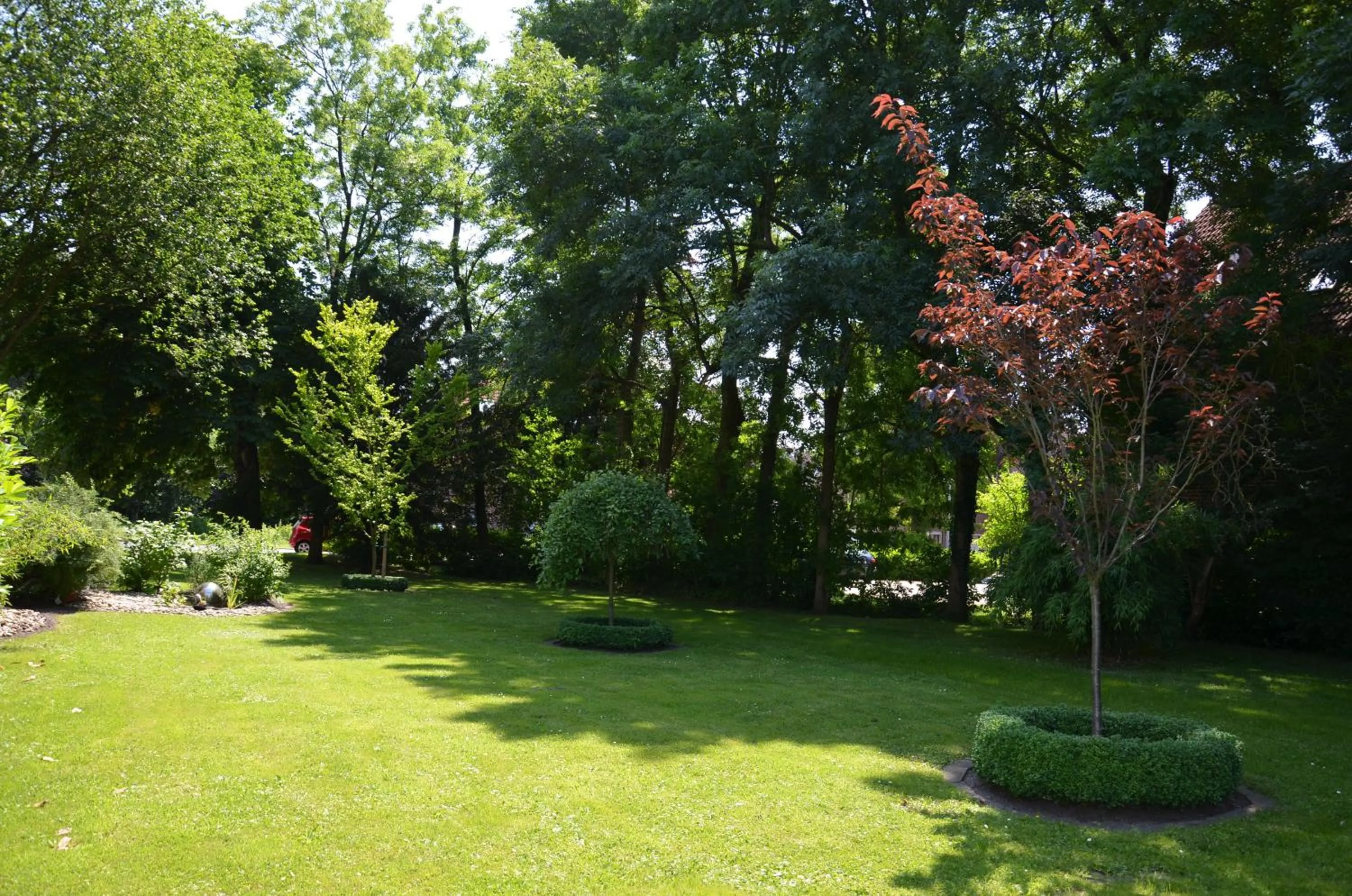 Garden in Hotel Aquamarin