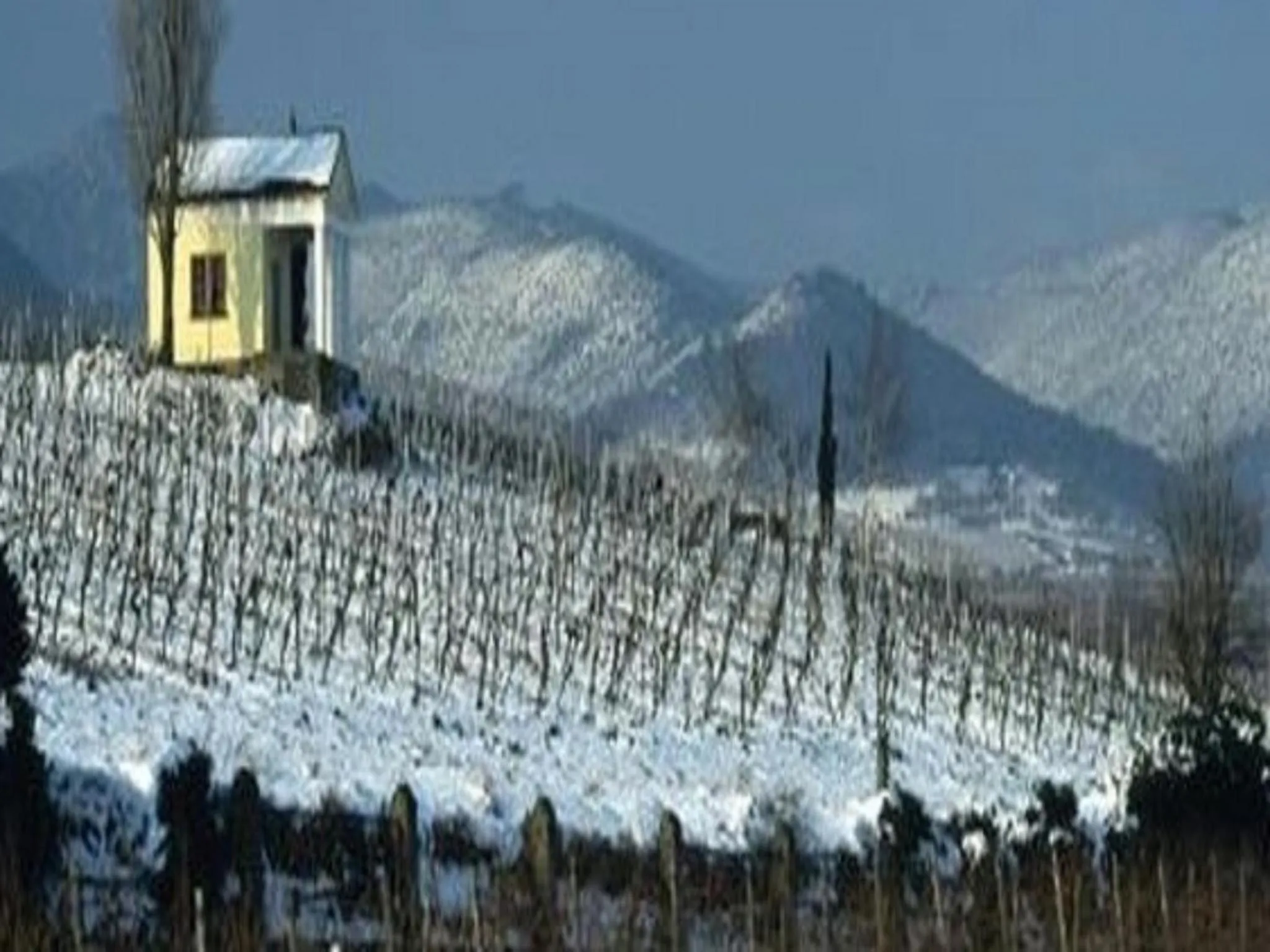 Natural landscape in Hotel Goldbächel