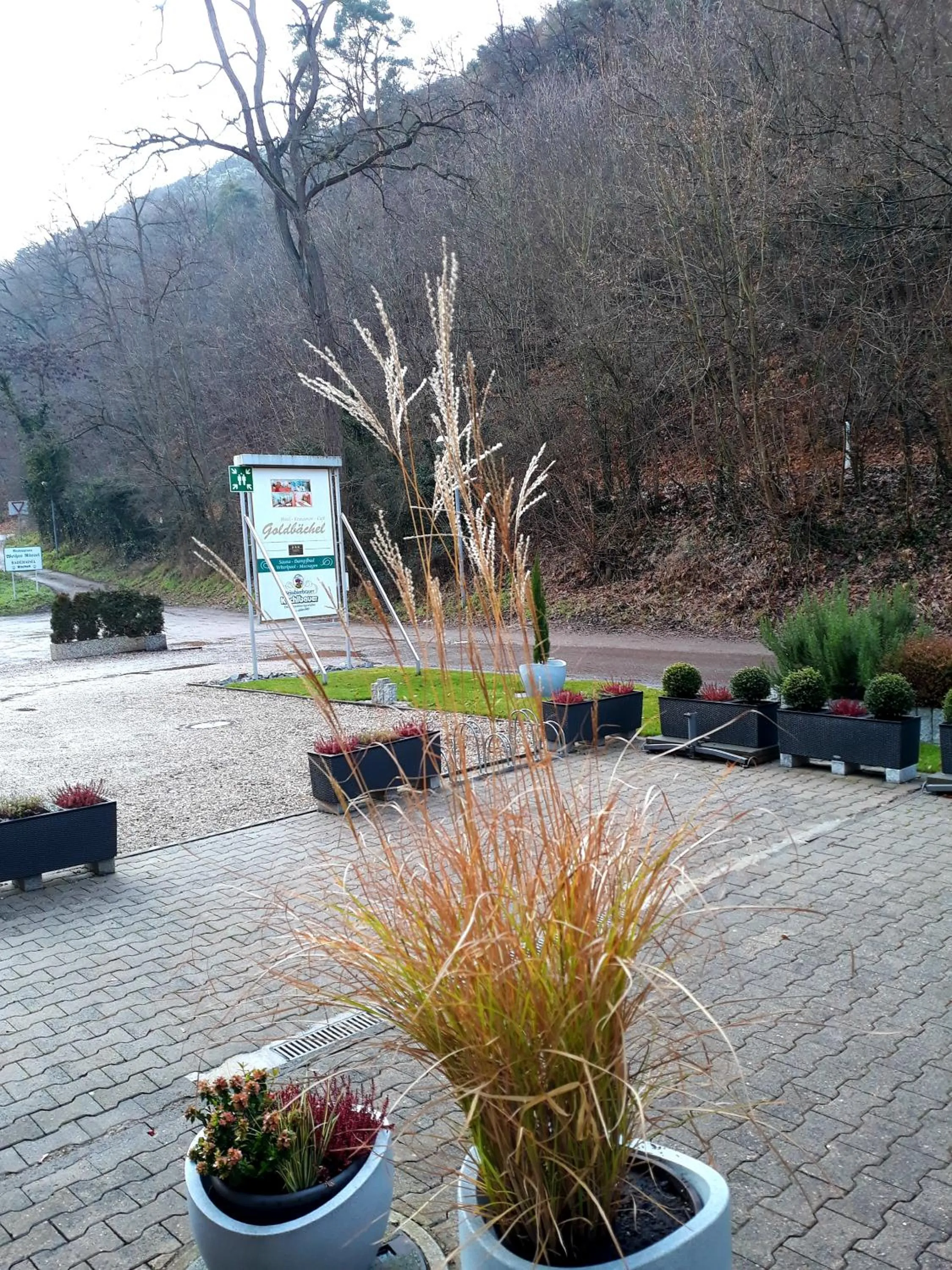 Natural landscape in Hotel Goldbächel